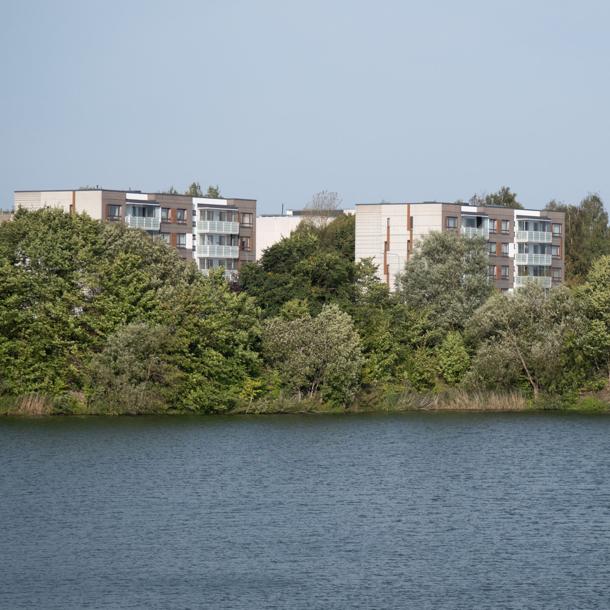 P1151349