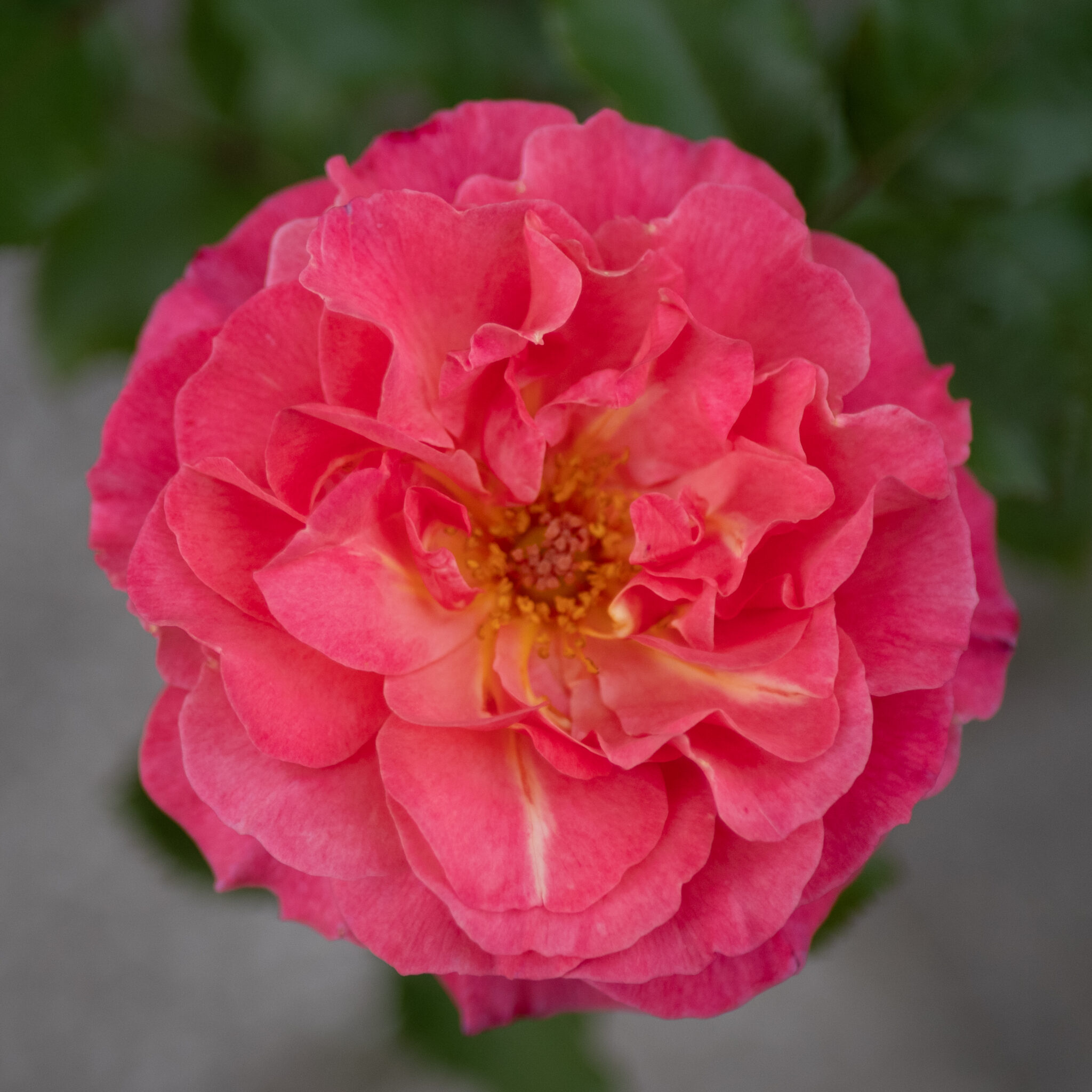 P1151761