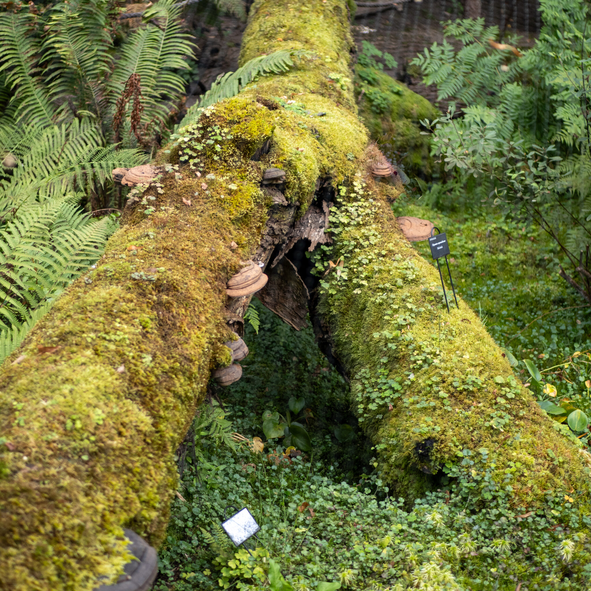 P1151793