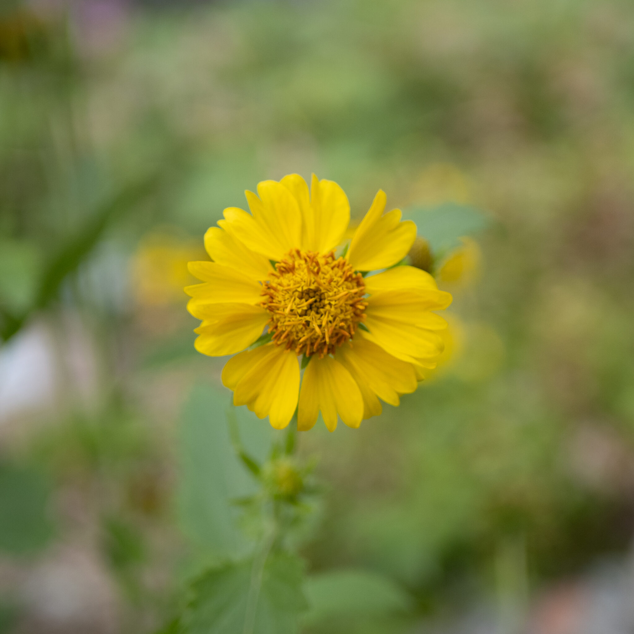 P1151801