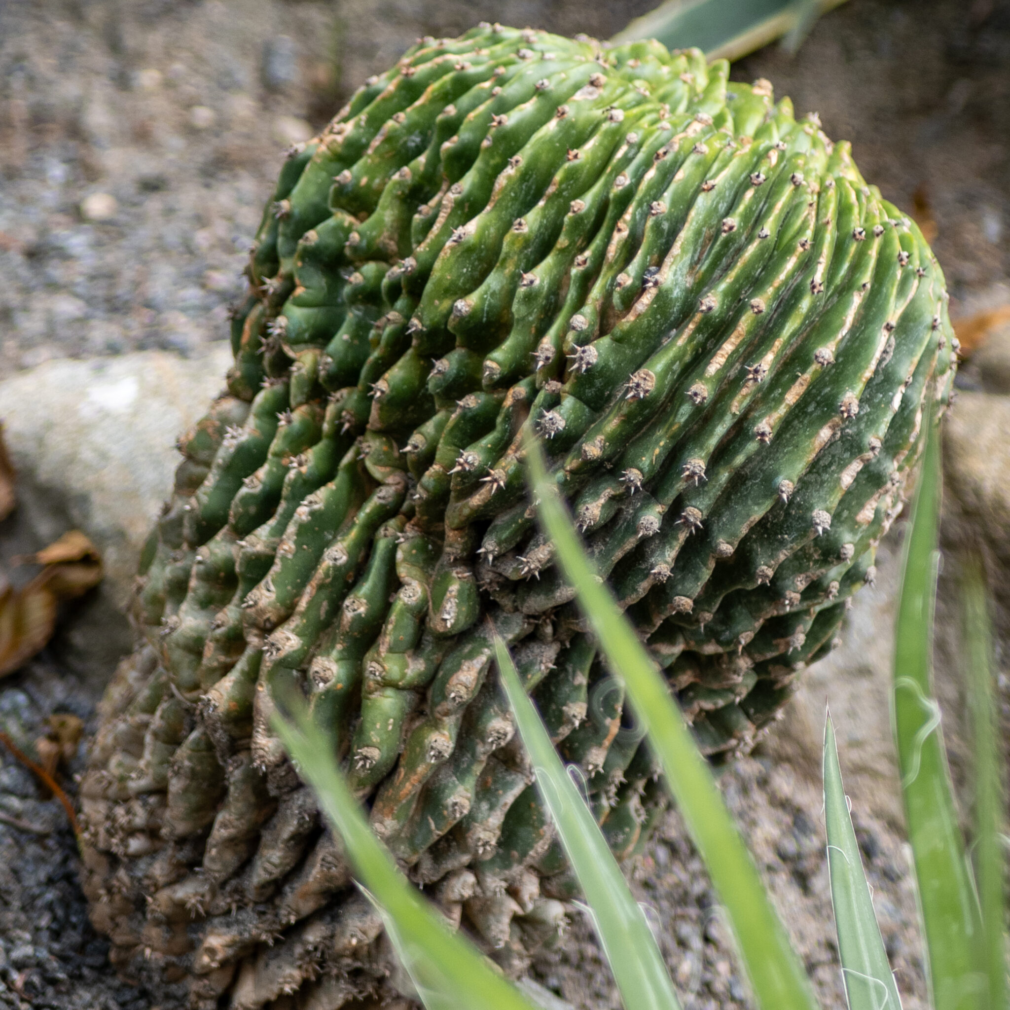 P1151806
