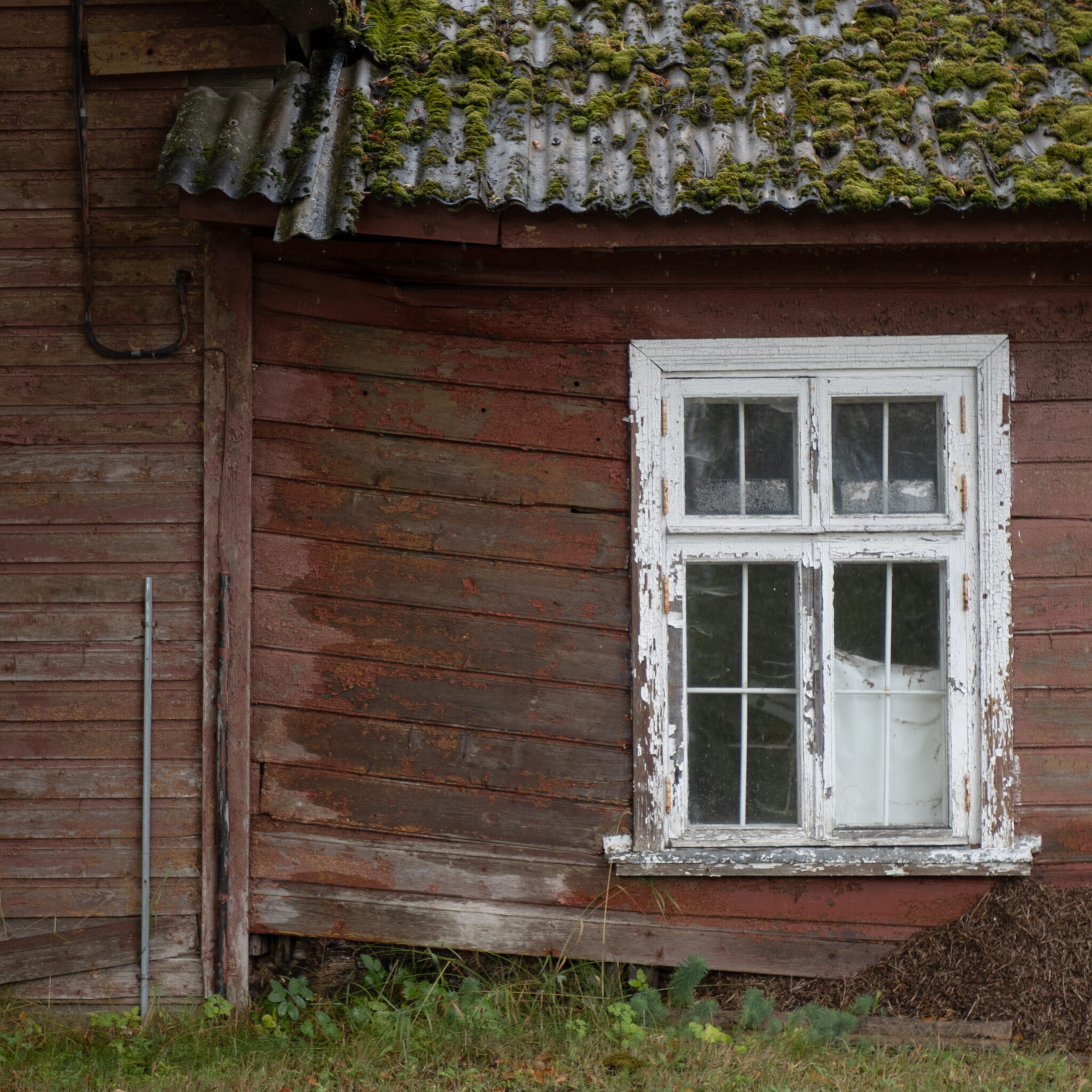 P1152207