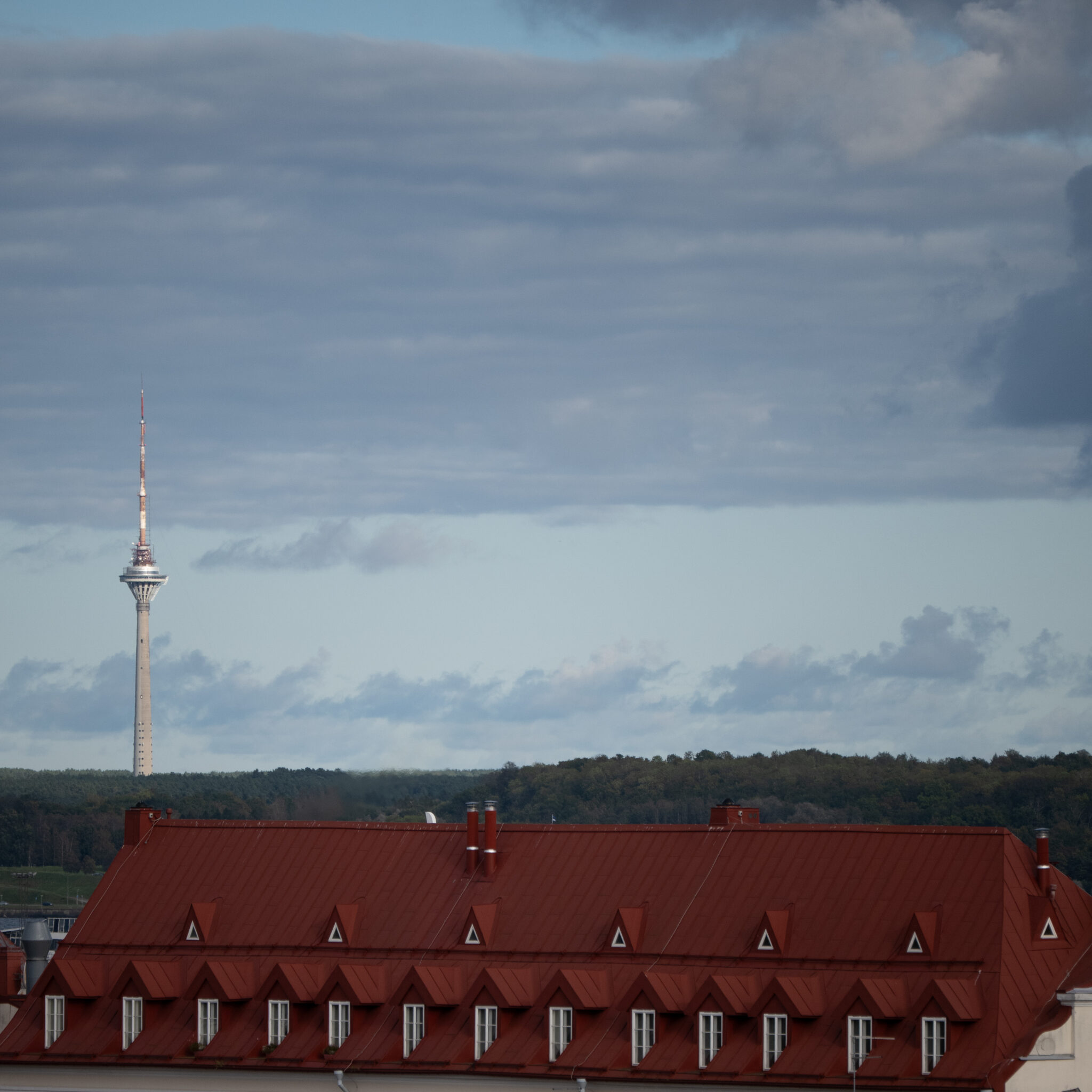 P1163303