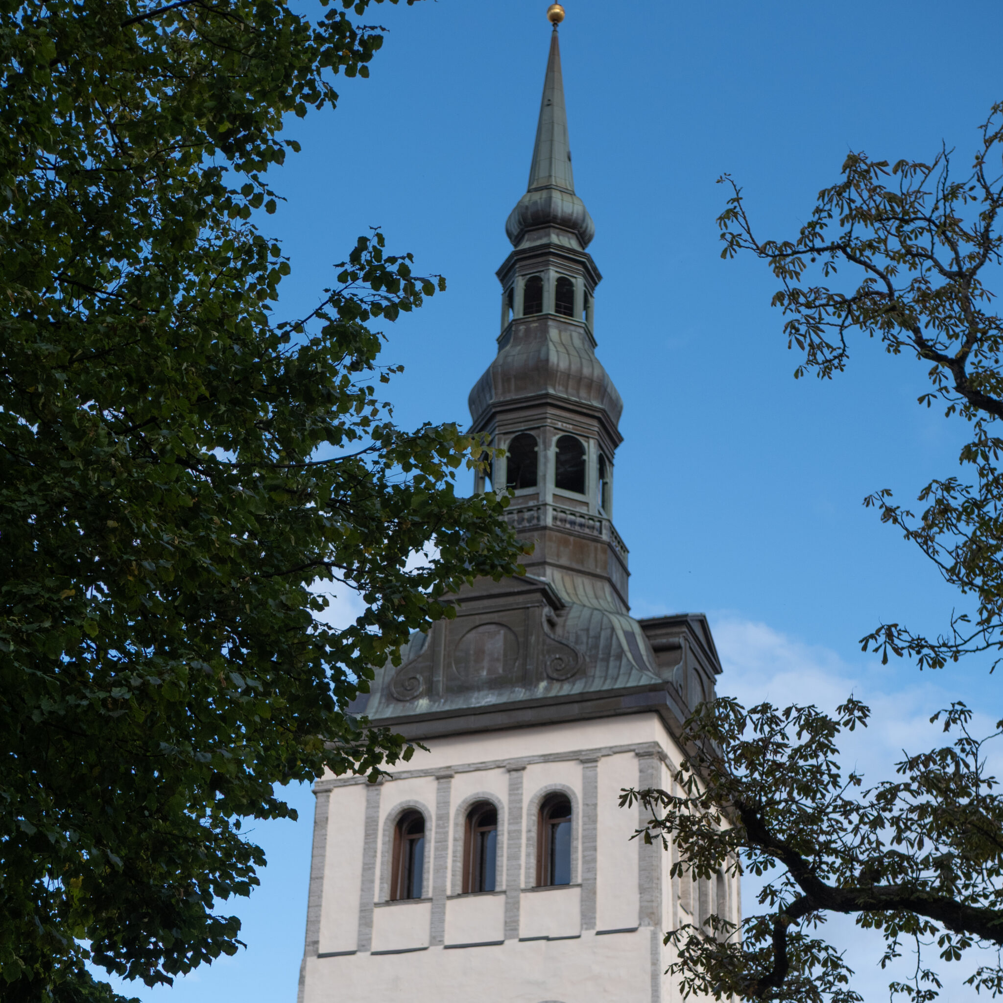 P1163369-3