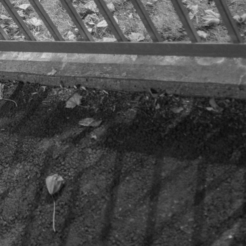 Leht lebab maas aia lähedal.