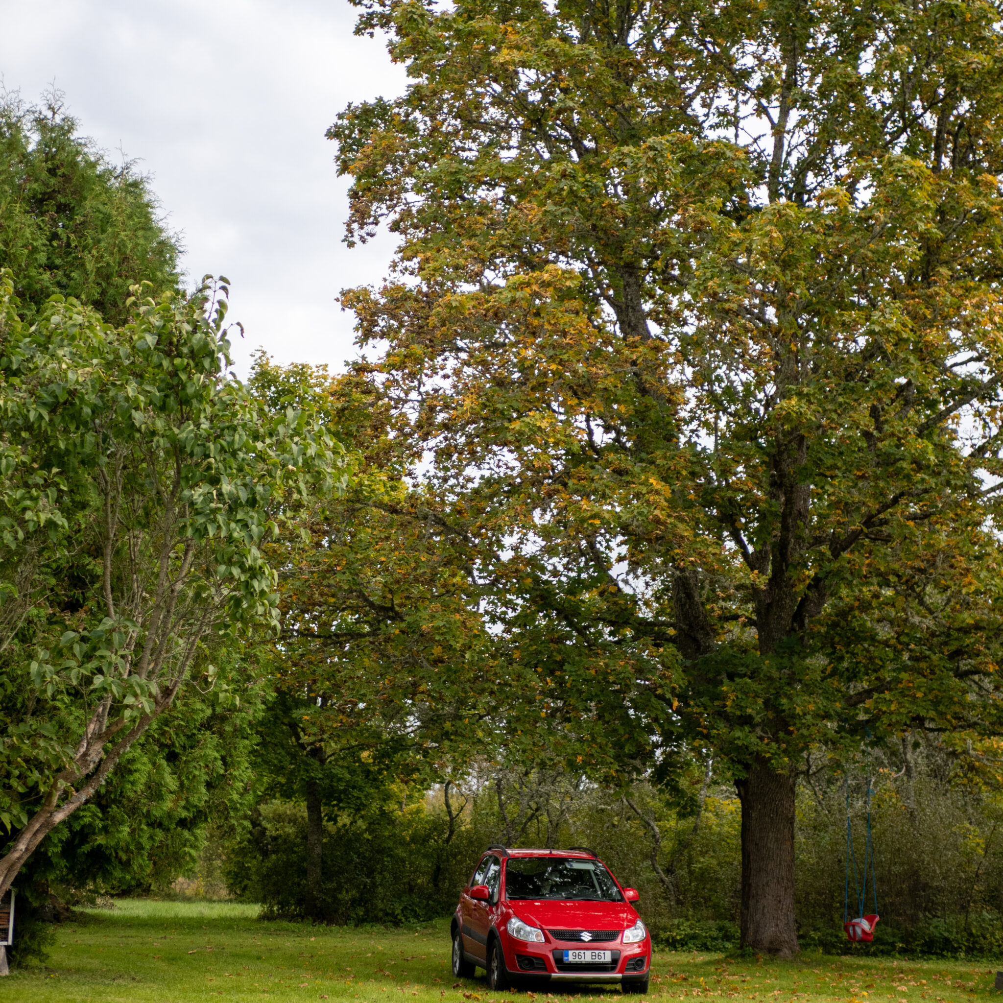 Punane auto pargitud kõrgete sügisvärviliste puude all.
