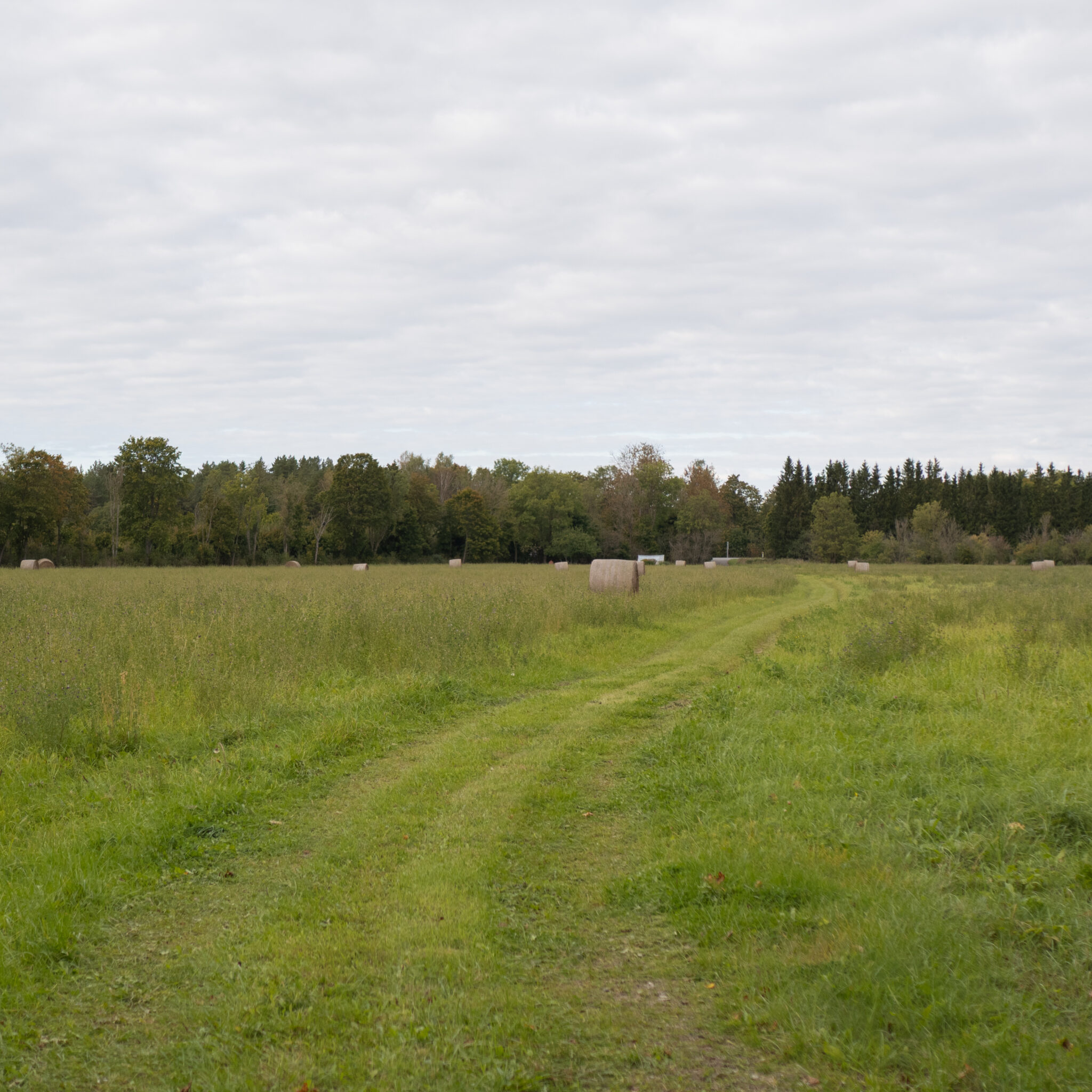 Vaikne maastik kruusatee ja heinapallidega.