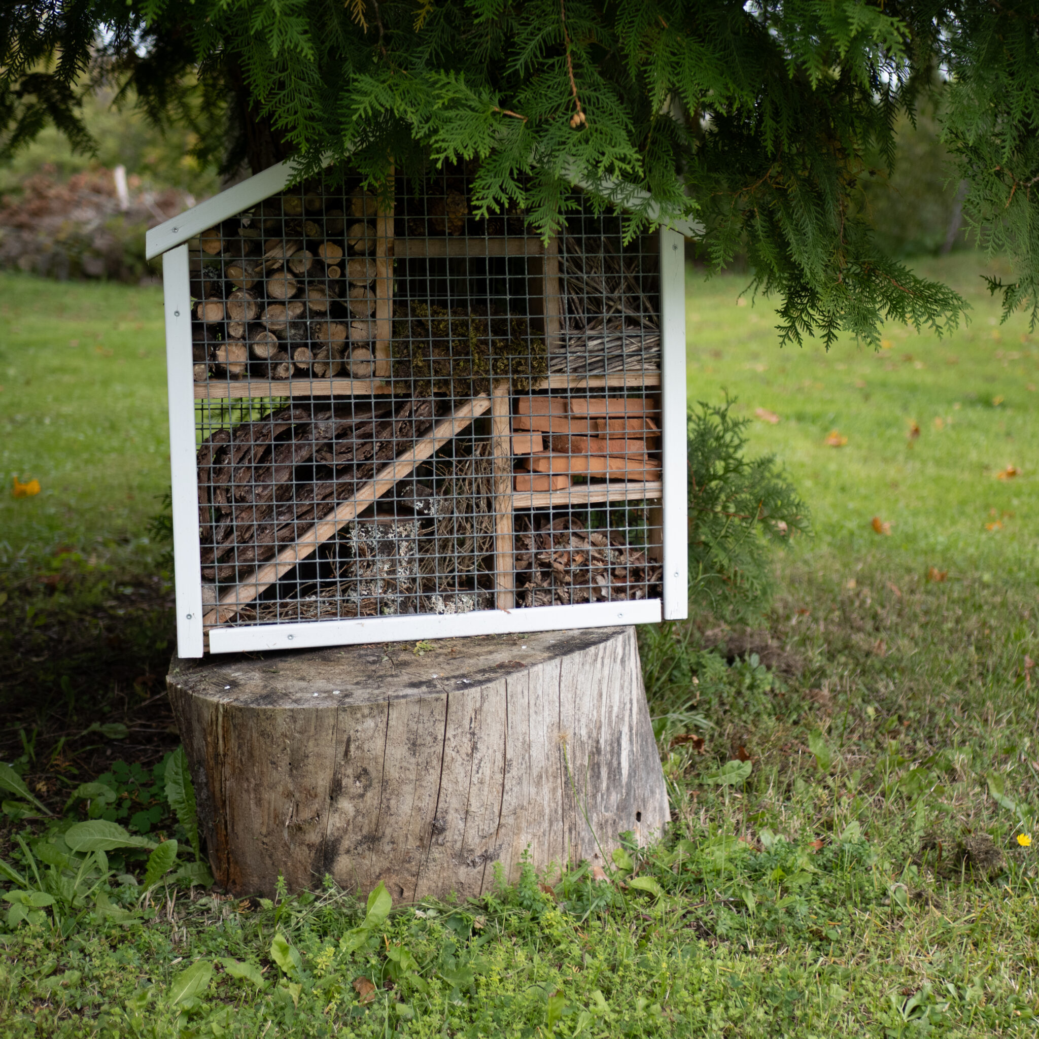 Putukahotell puust ja traadist puu all.