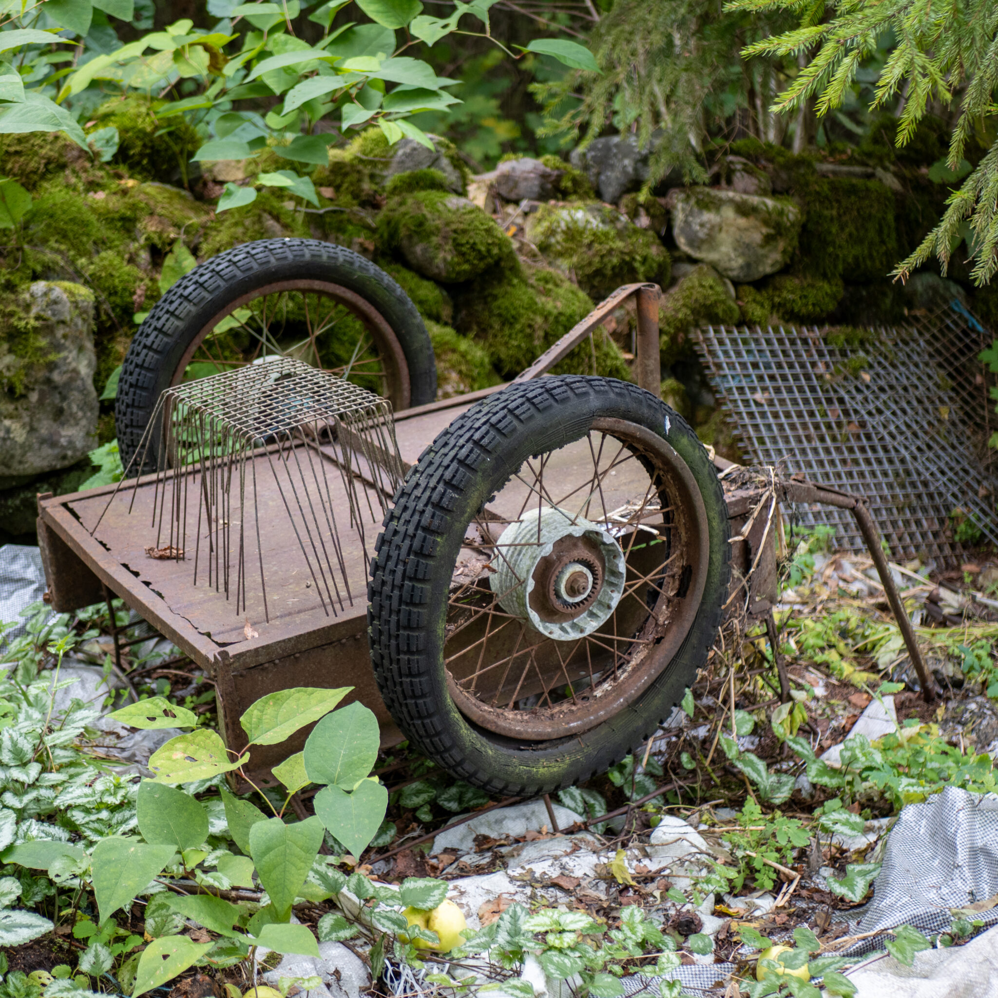 Vana roostes kahe rattaga käru metsas.