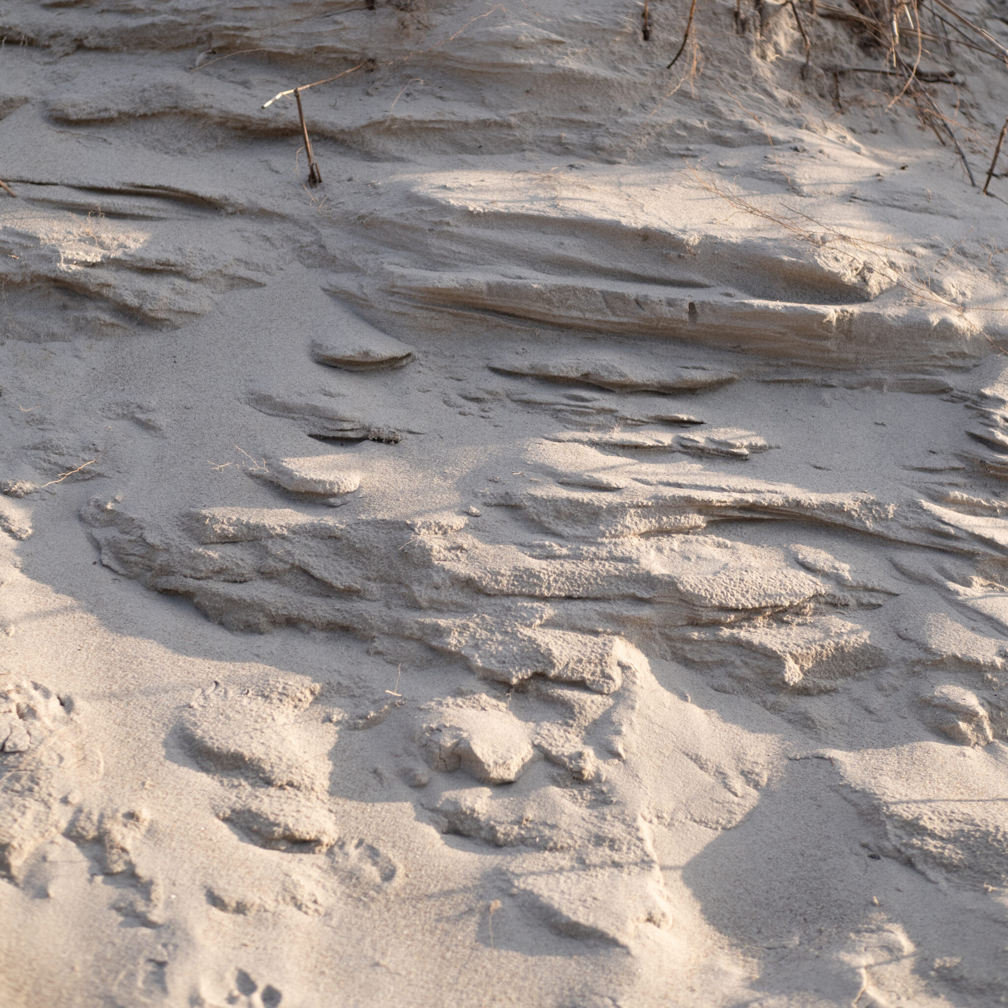 Liivadüünid ja kivised väljaulatuvad pinnad.