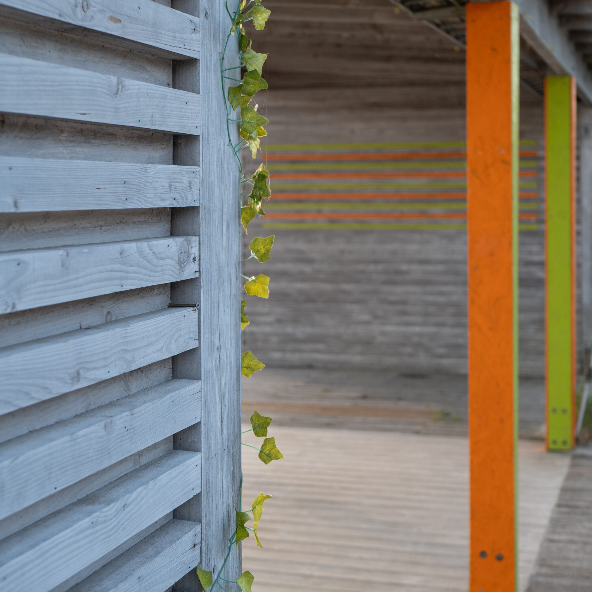 Puidust konstruktsioon roheliste viinapuude ja oranžide sammastega.