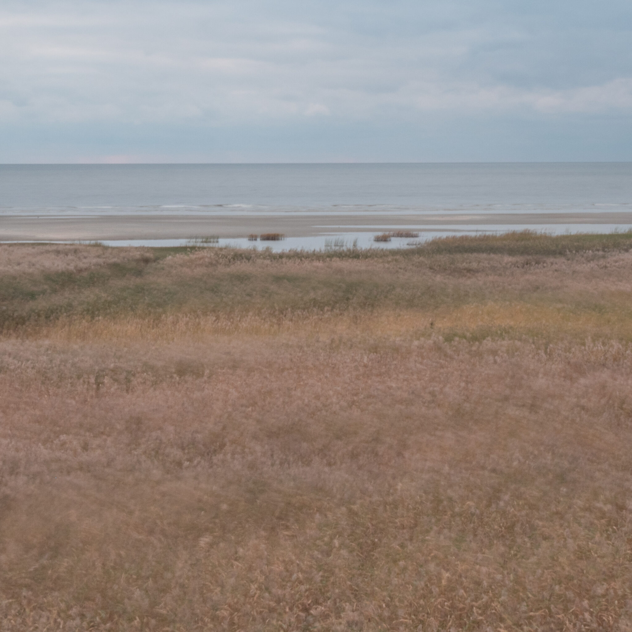 Rohune rand, taustal meri.