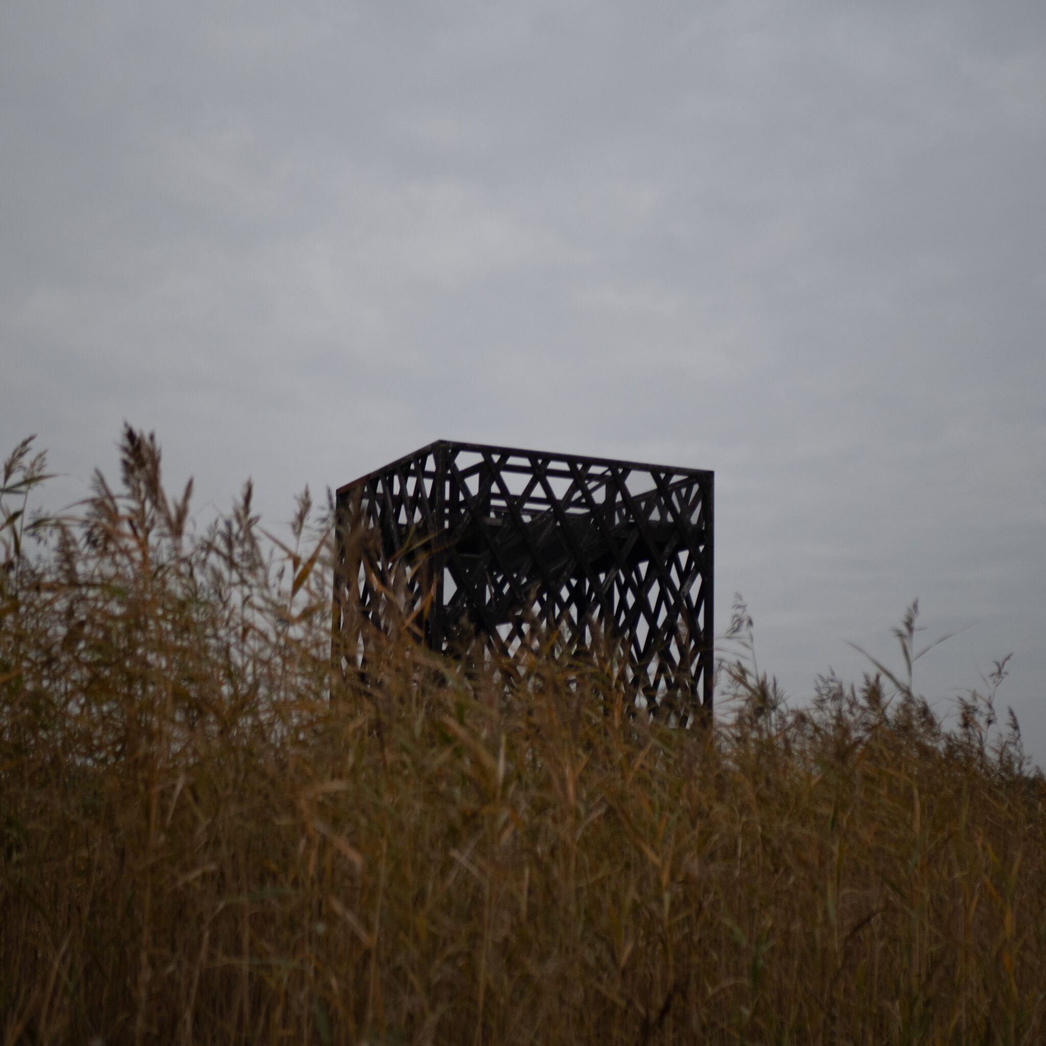 Geomeetriline konstruktsioon seisab keset kõrget rohtu.