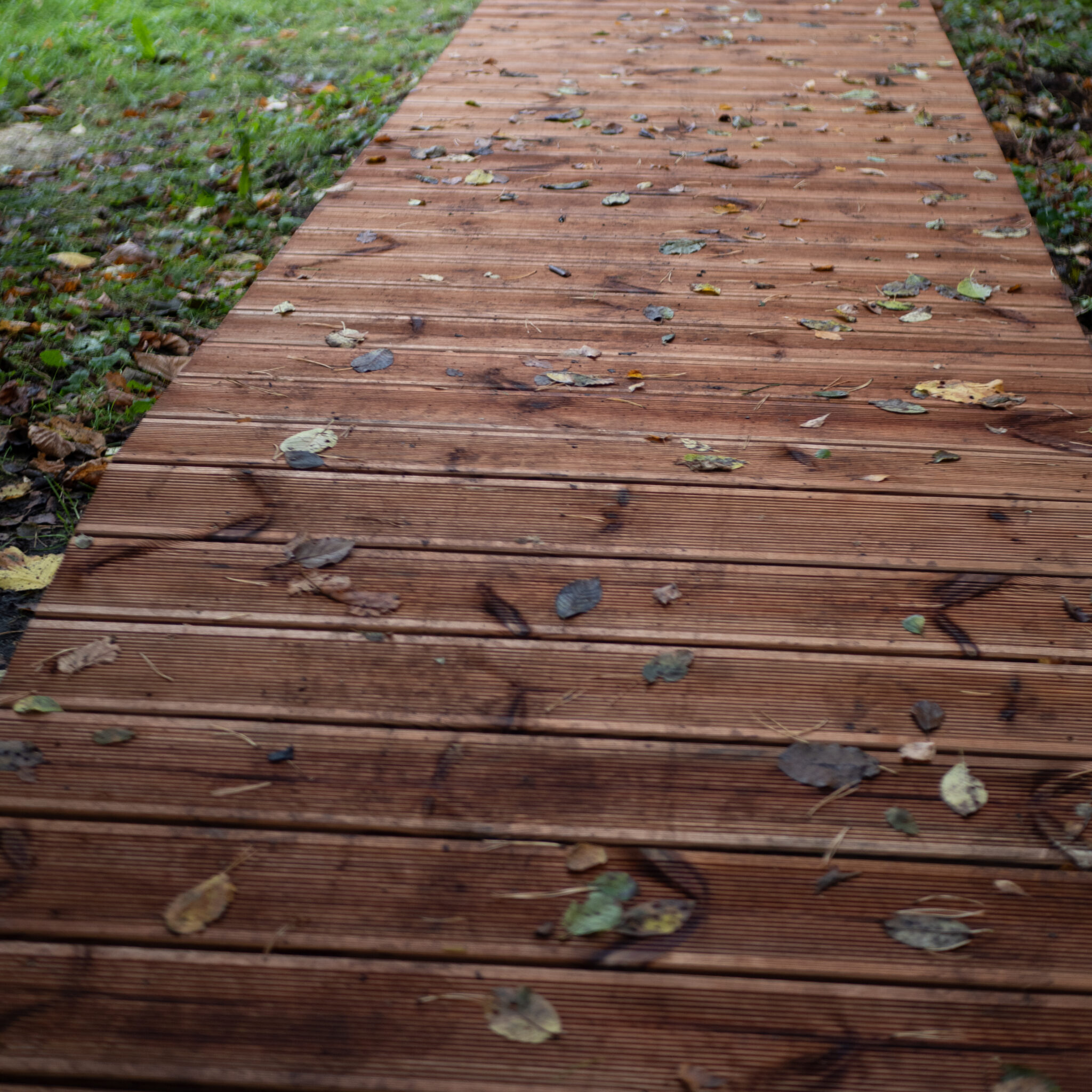 Puidust jalakäigutee kaetud langenud lehtedega.