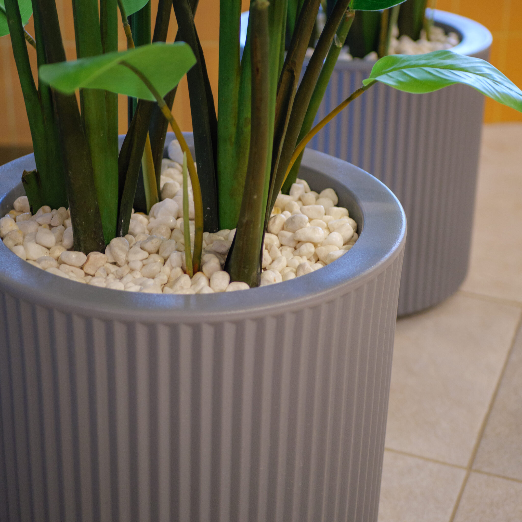 Kaks halli lillepotti valge kruusa ja roheliste taimedega.