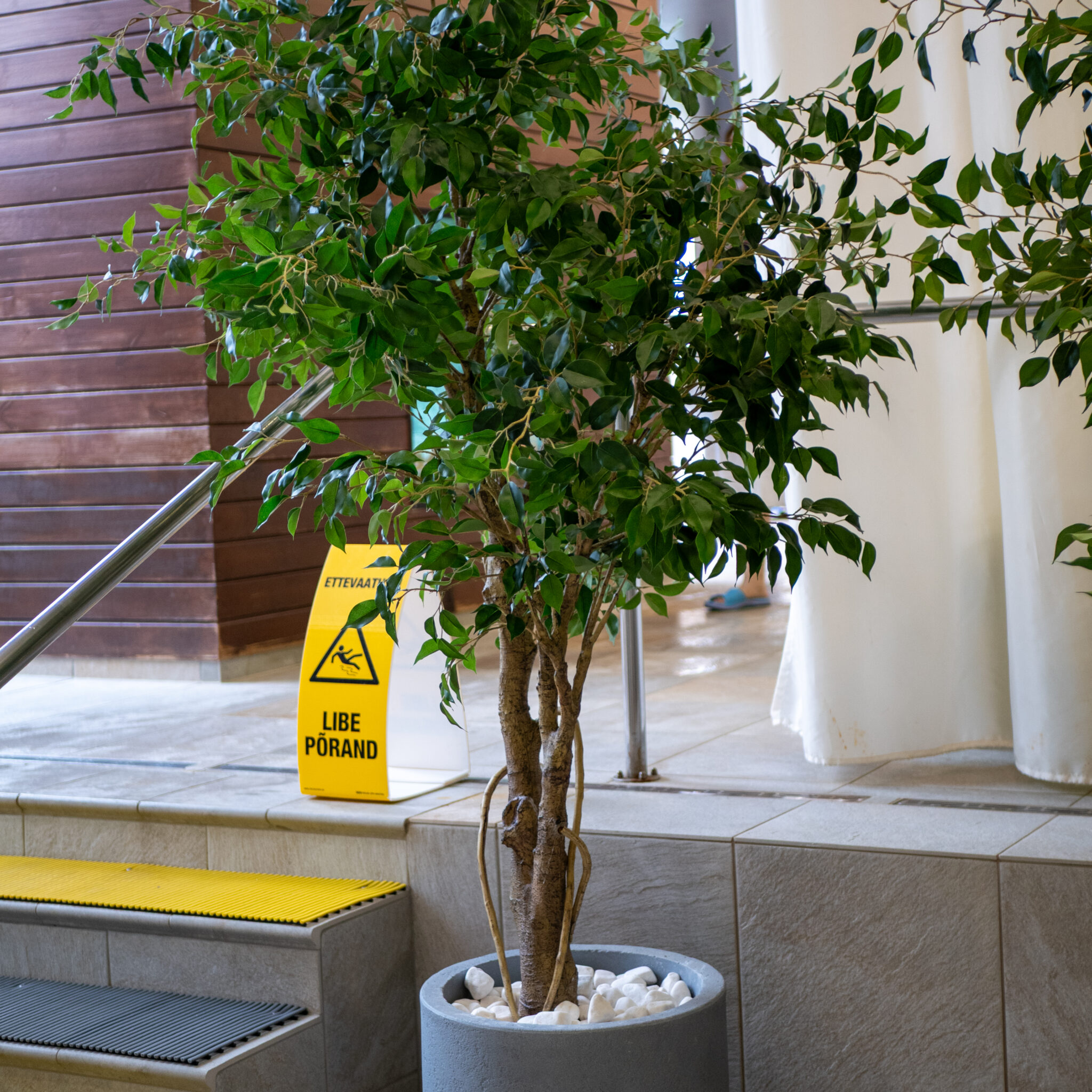 Pottides puu ja kollane hoiatussilt.
