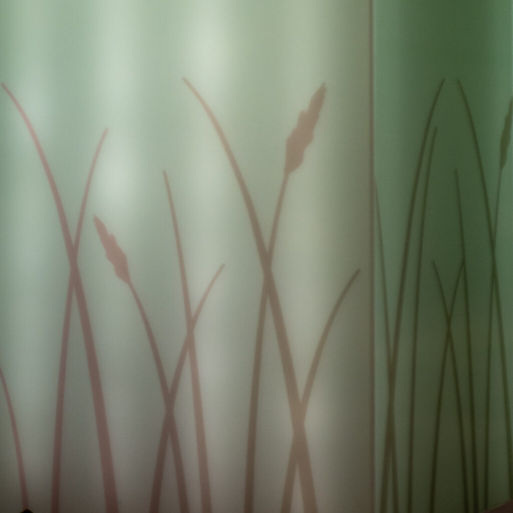 Pilliroo vari rohelisel seinal.