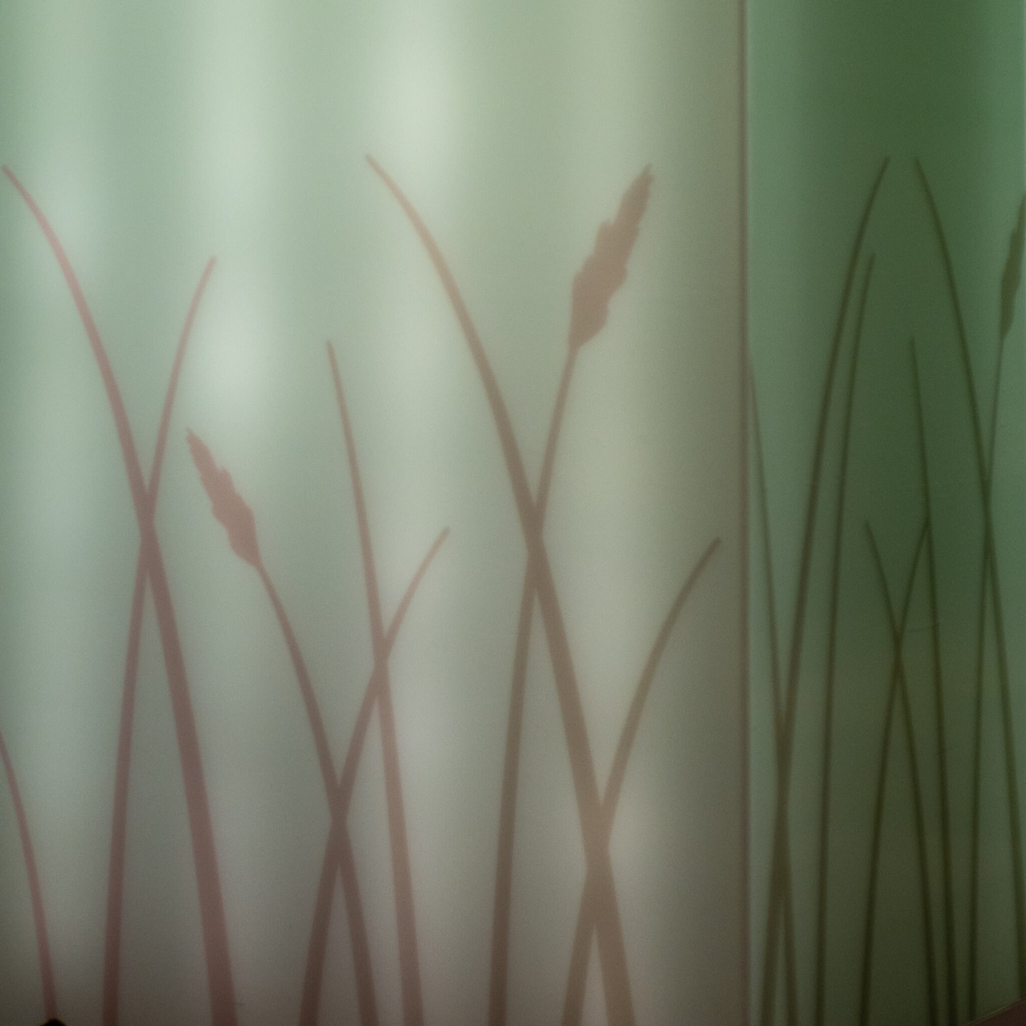 Pilliroo vari rohelisel seinal.