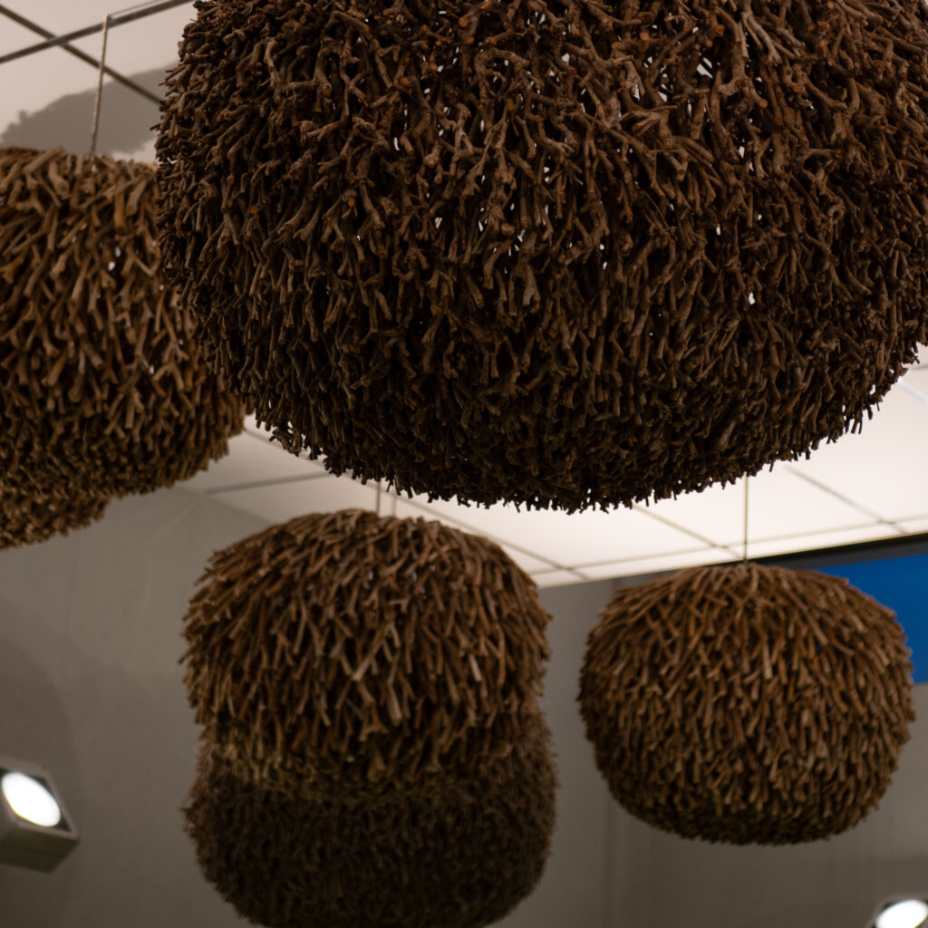 Suured pruunid kerakujulised oksastruktuurid rippuvad laest.