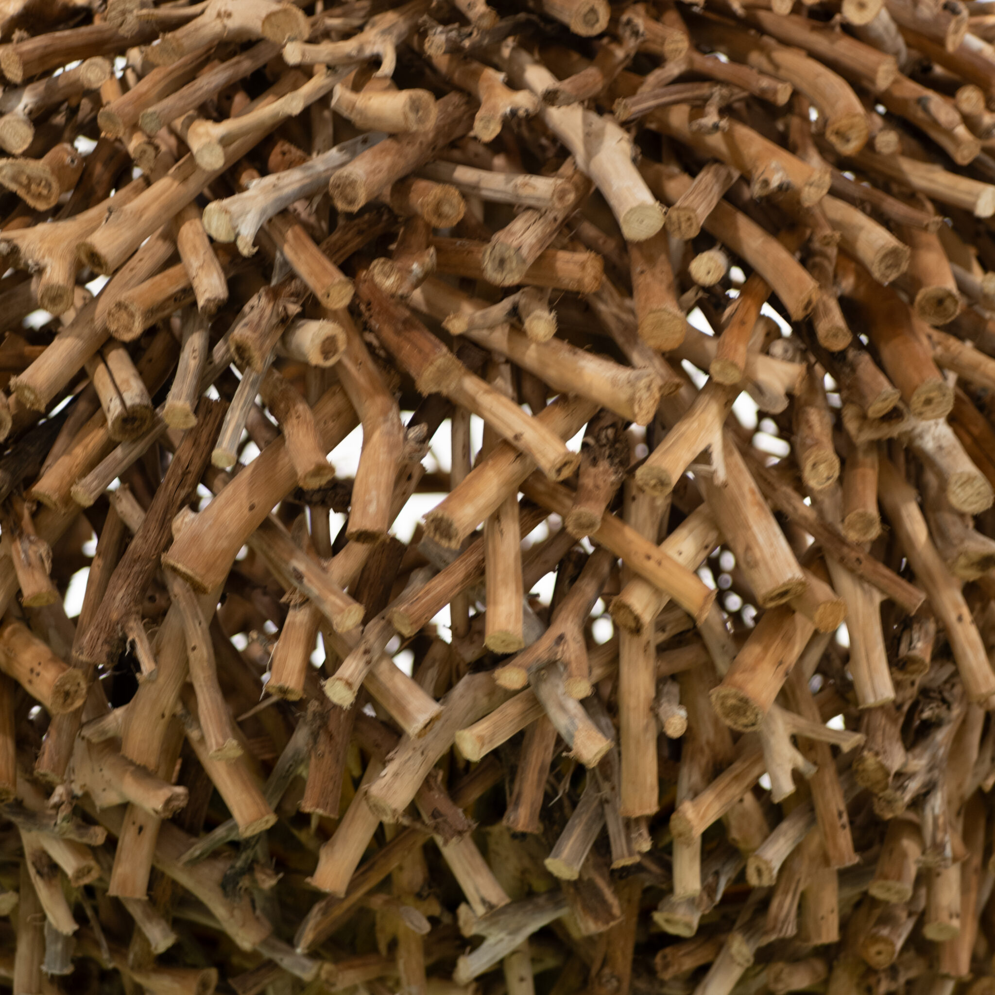 Kaootiline hunnik puuoksi.