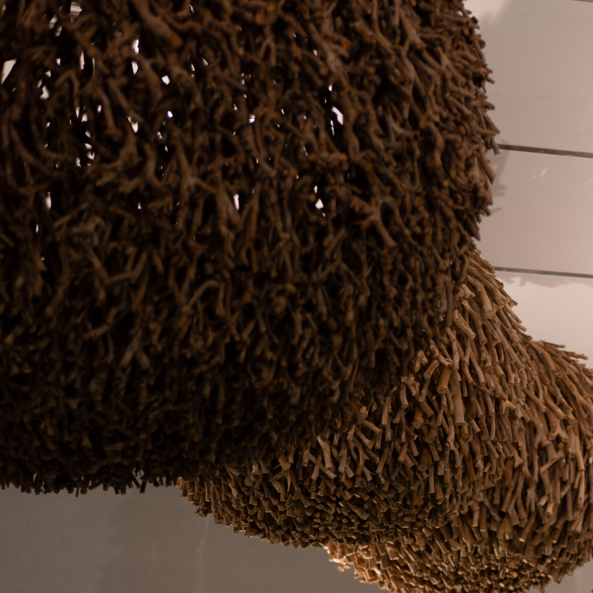 Suur orgaaniline puidust skulptuur rippumas laest.