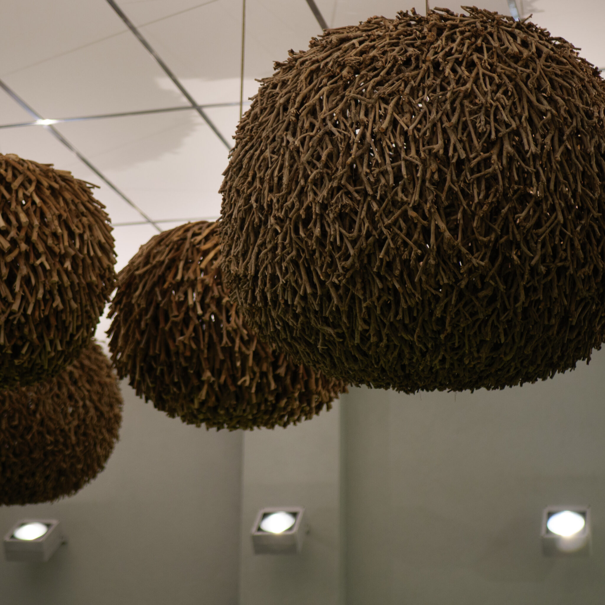 Suured kerakujulised oksakaunistused laes.