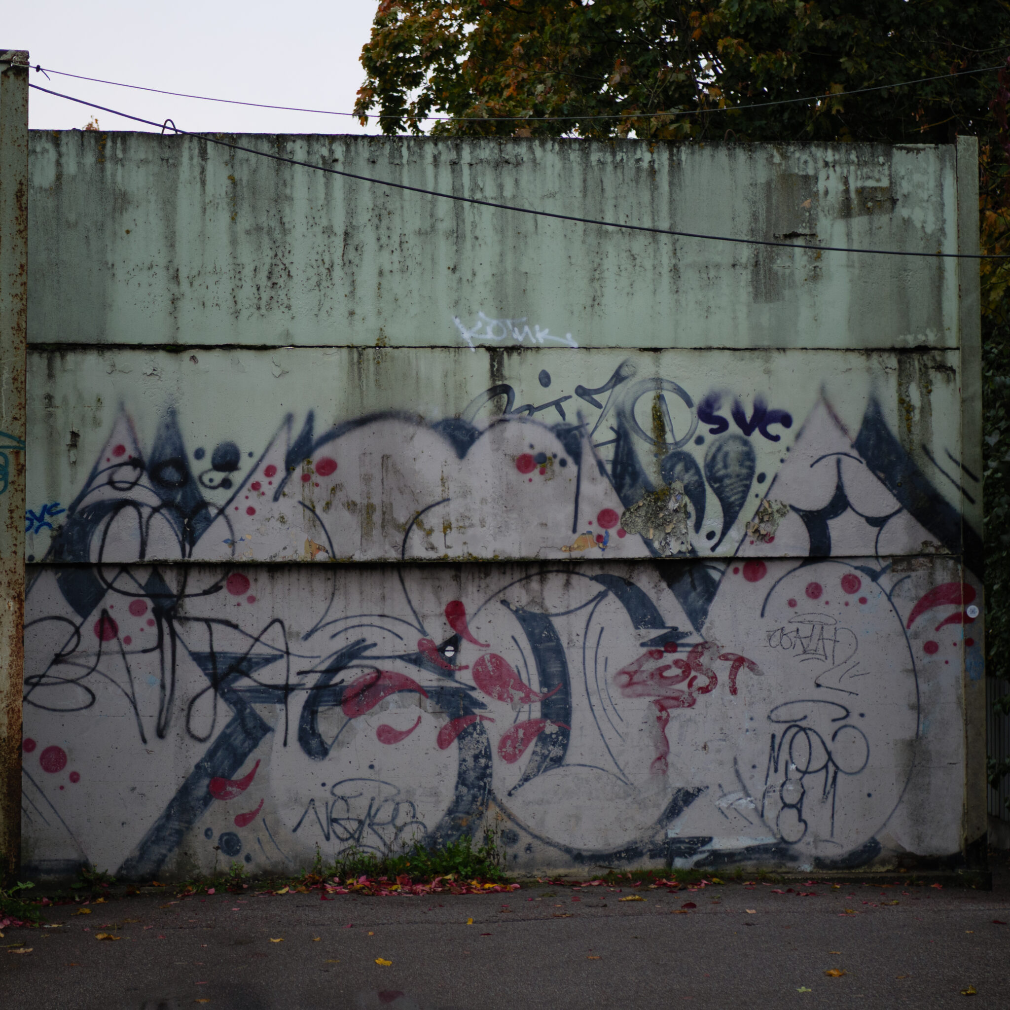 Grafiti betoonseinal, taustal puud.