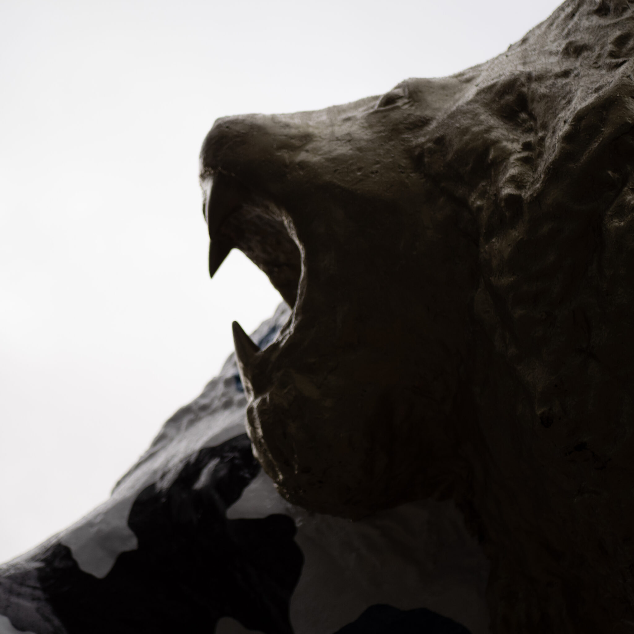 Mustvalge karukuju ähvardava ilmega.