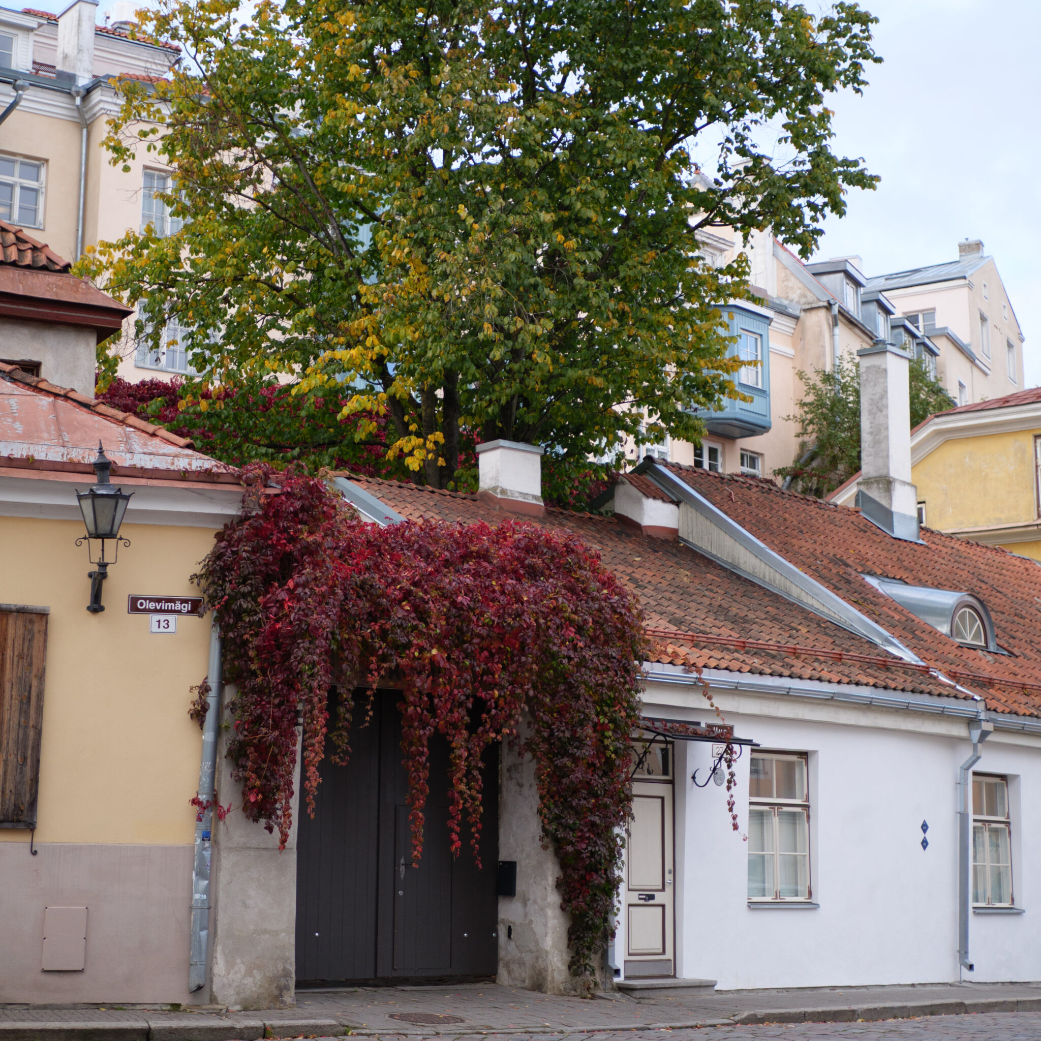 Sügislehtedega puu maja ees, millel on silt.