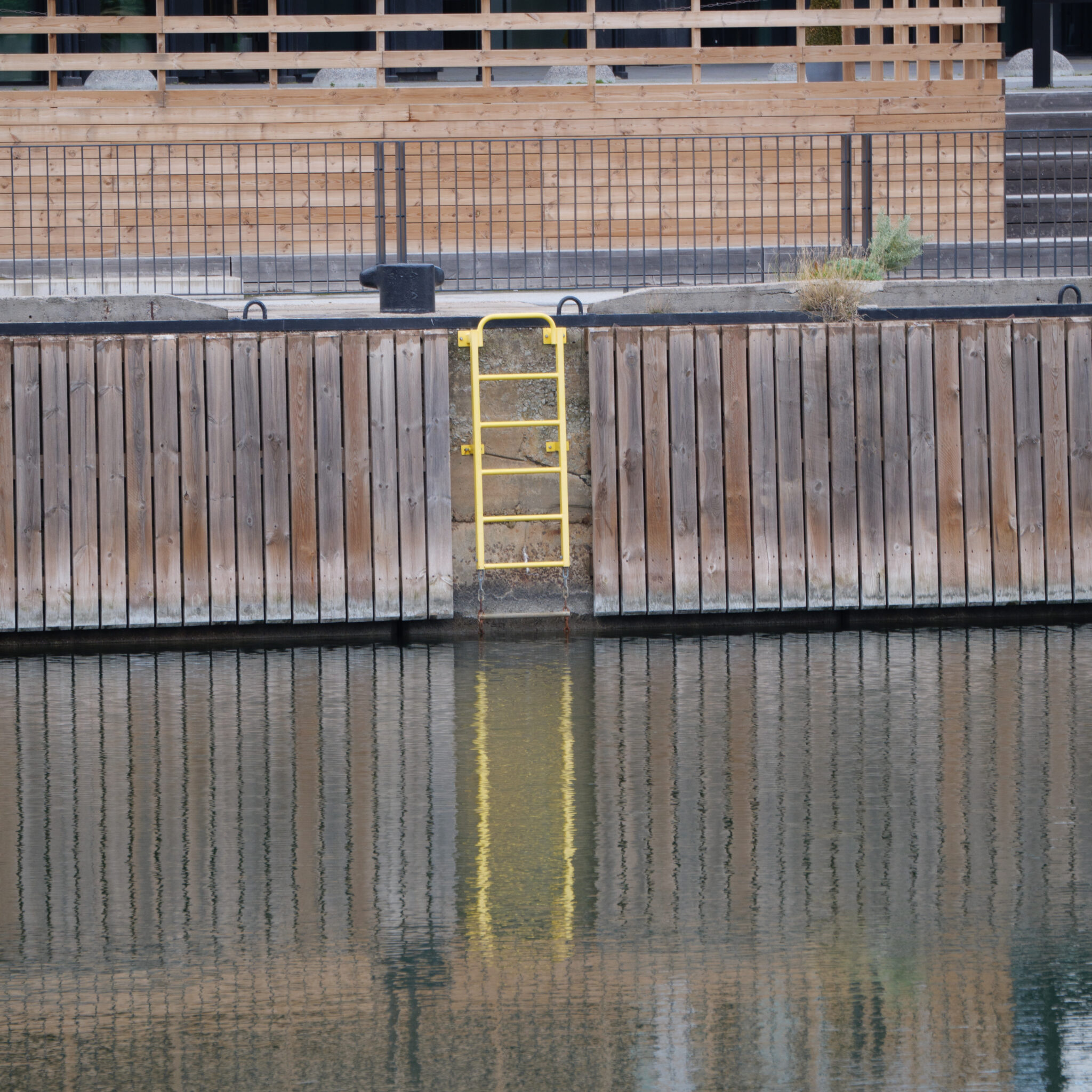 Kollane redel viib rahulikku veekogusse.