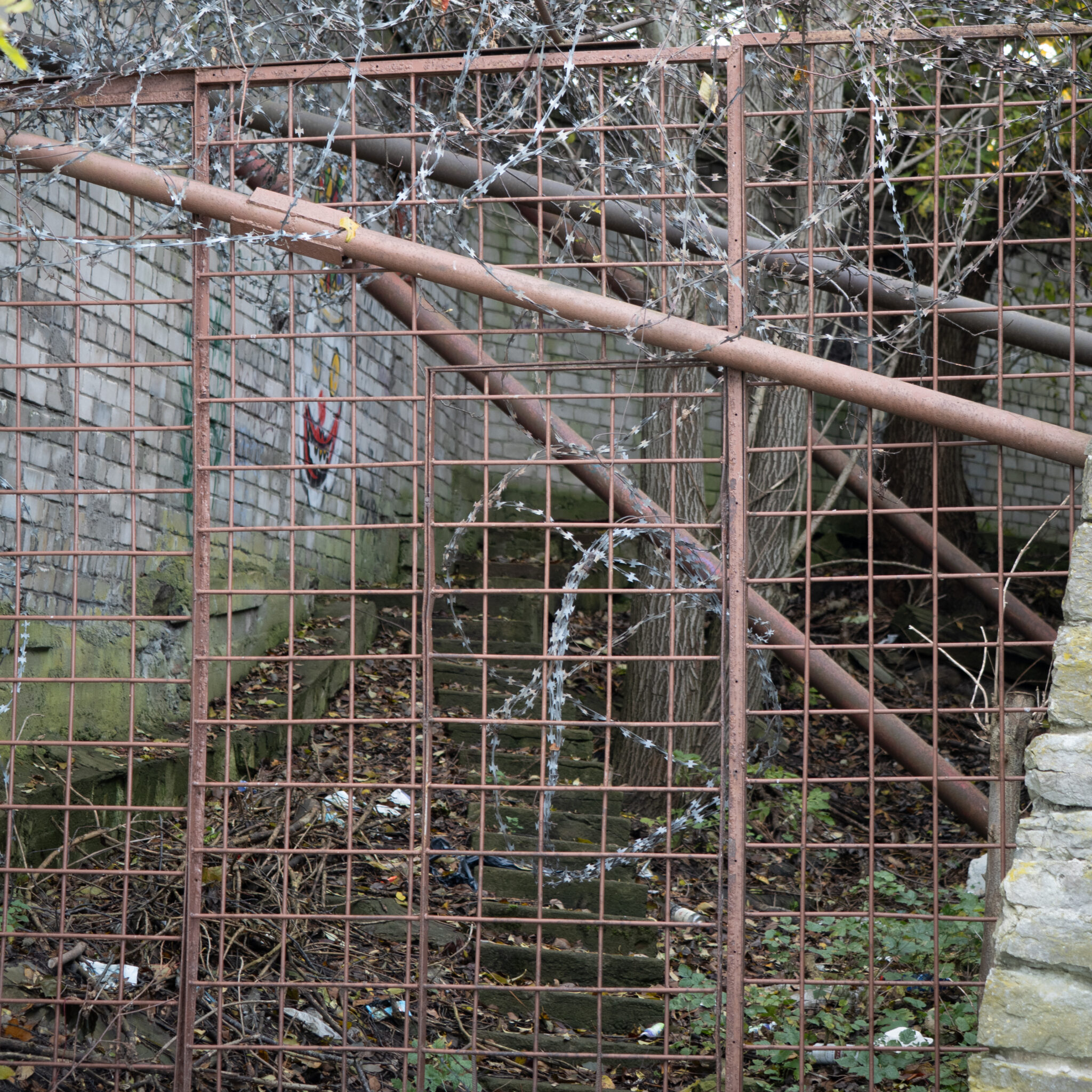 Roostes okastraadiga metalltara tellisseina najal.