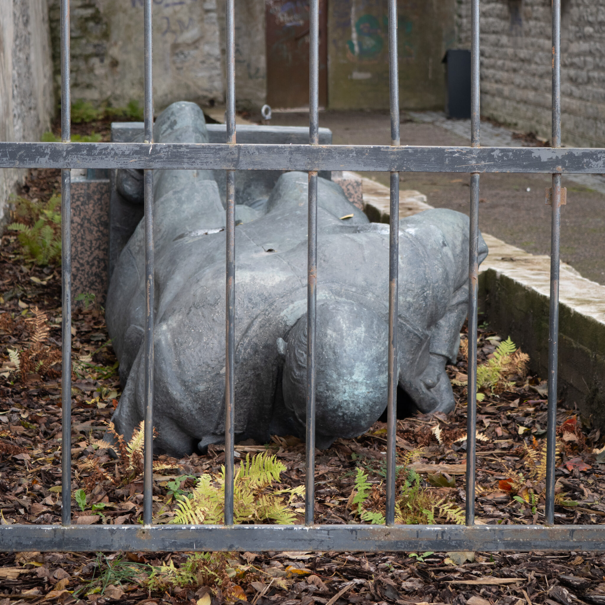 Mehekuju lamamas aia taga.