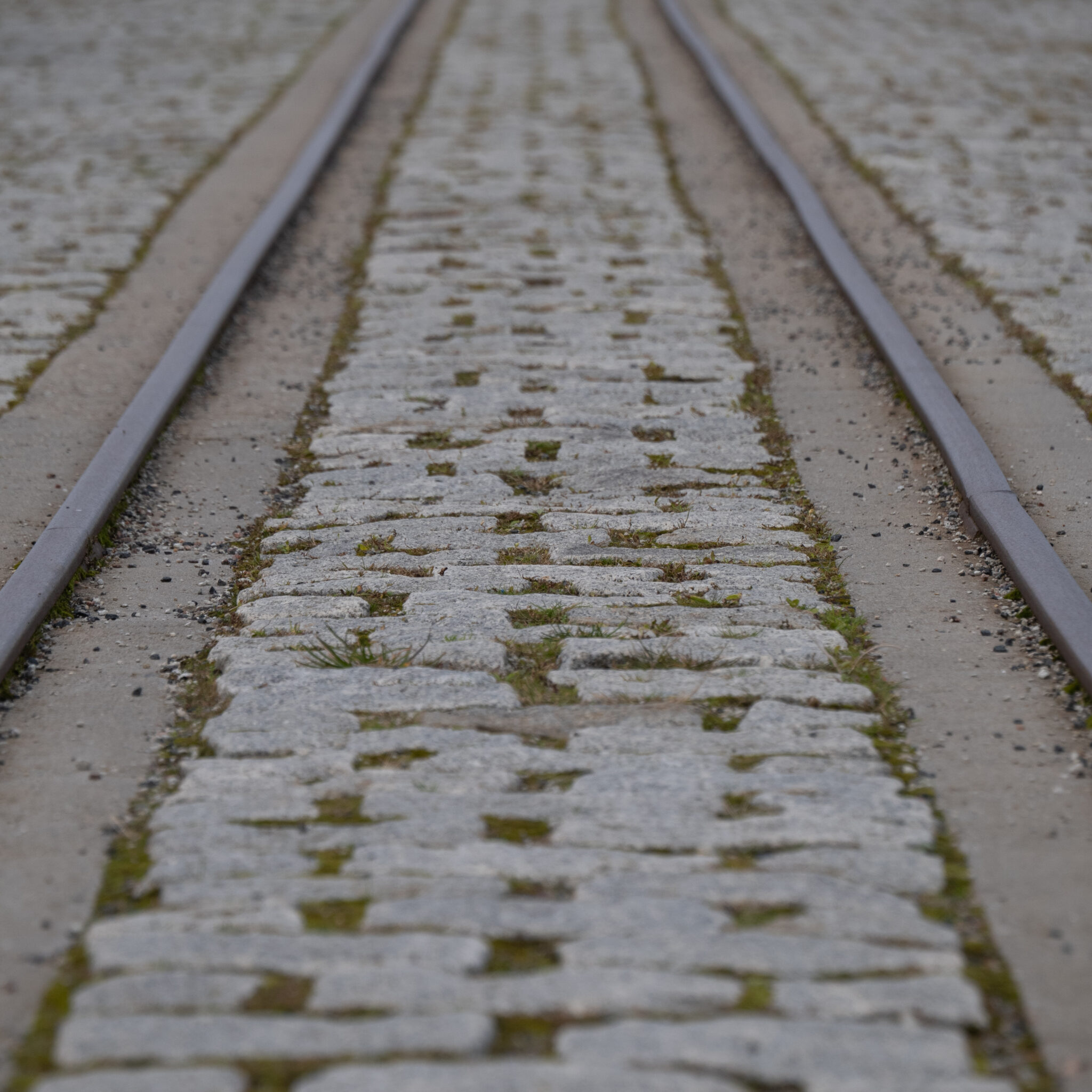 Munakivine raudteelõik kruusaga.