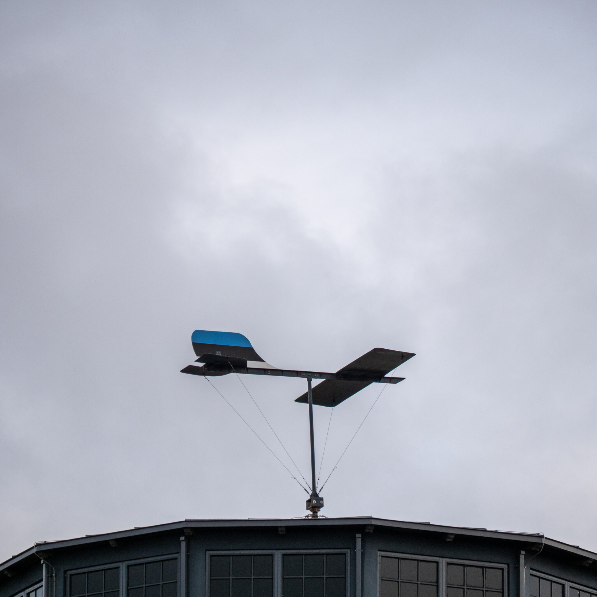 Ilmakaaregaornament siniste tiibadega hoone tipus.