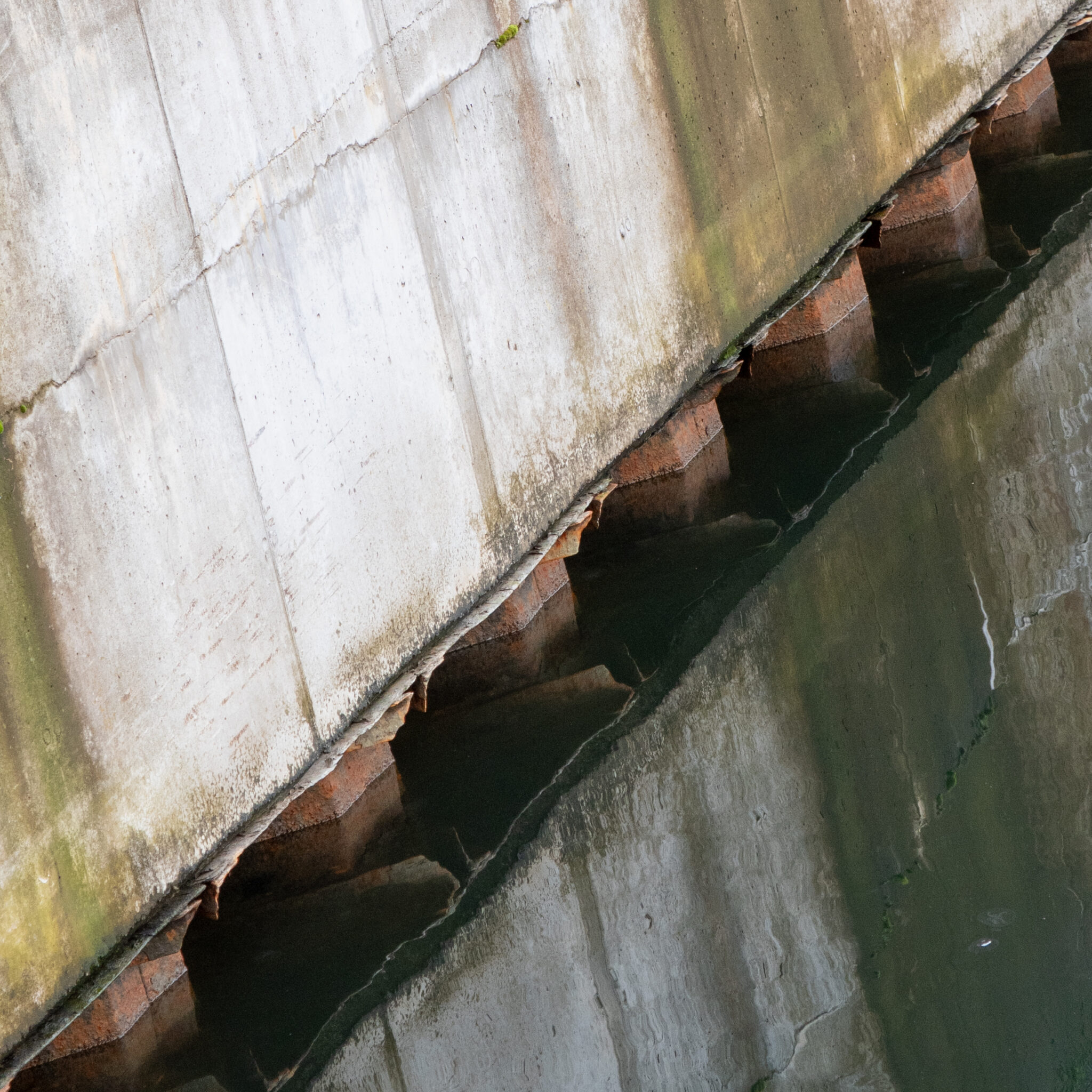 Betoonsein vee ja rohelise samblaga.