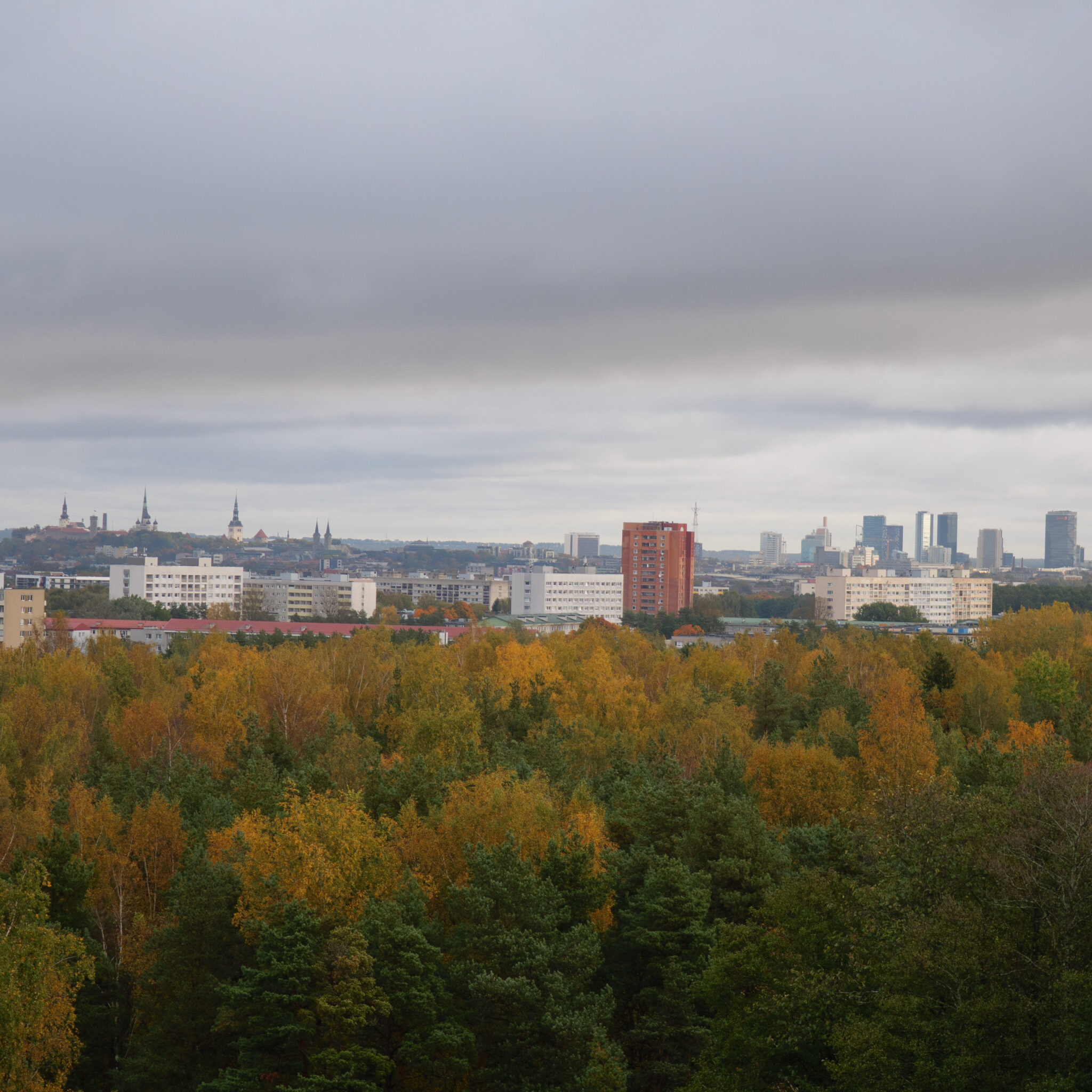 Linnavaade sügiseste puudega esiplaanil.