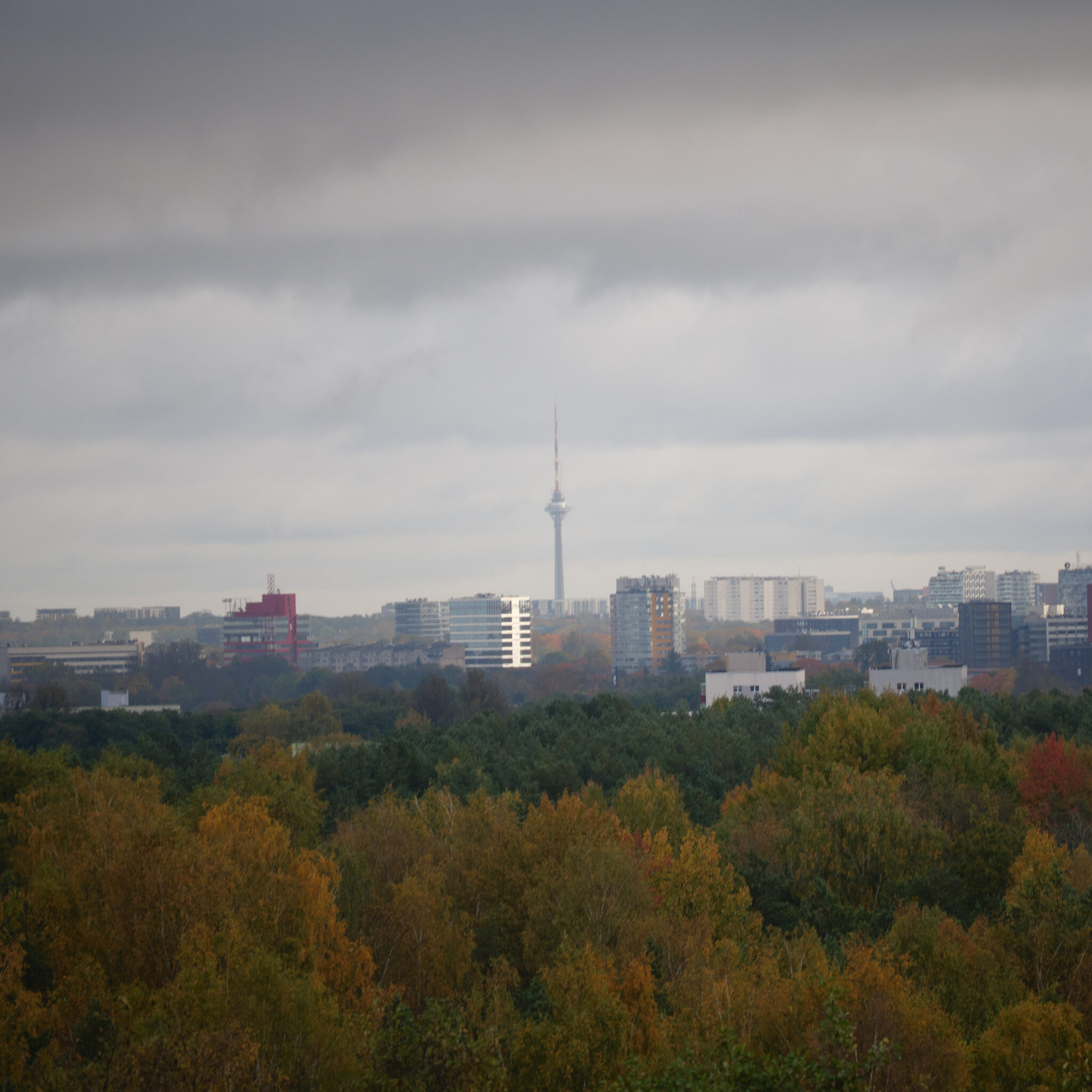 Linnavaade sügiseste puudega ja teletorn kauguses.