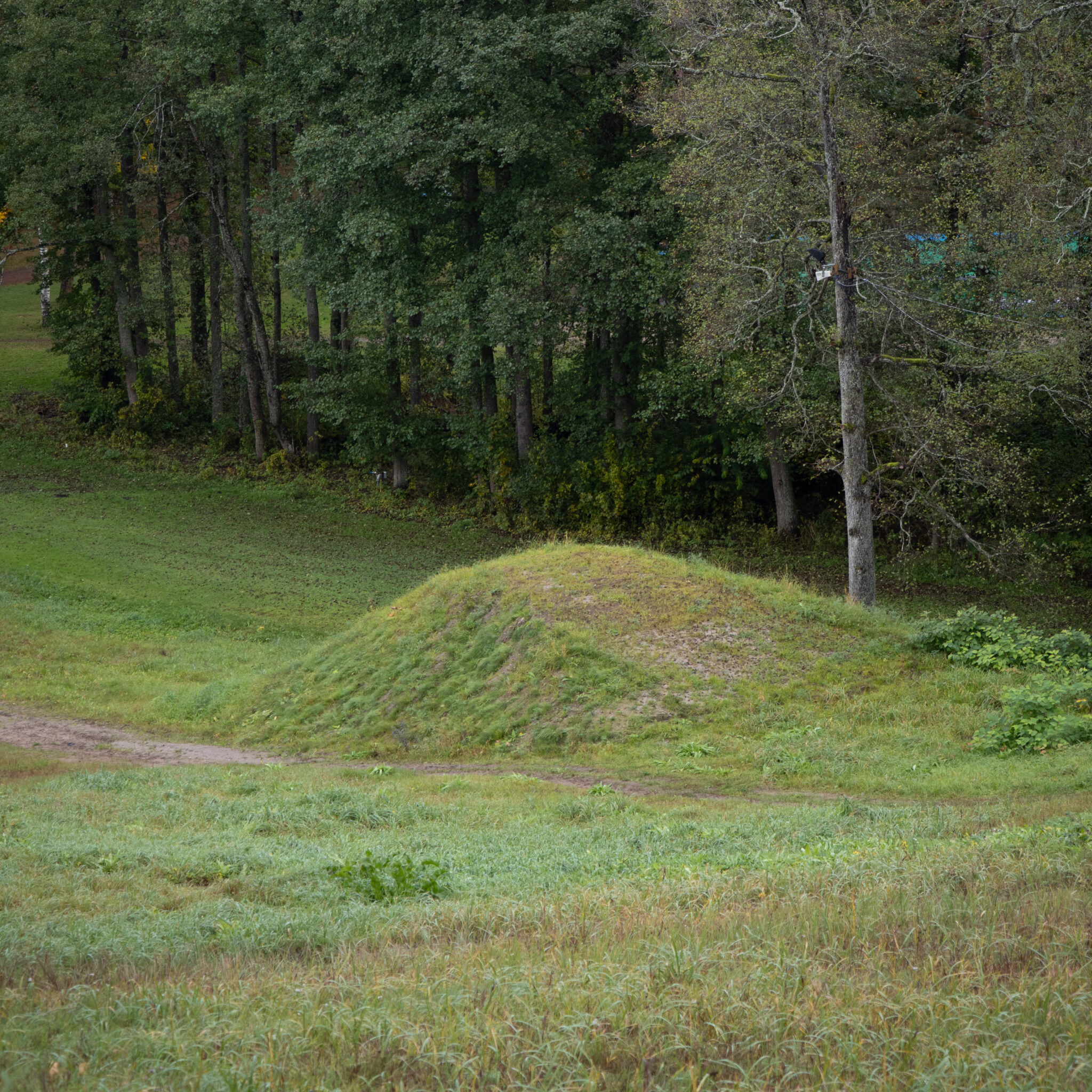 Murune küngas metsases piirkonnas.
