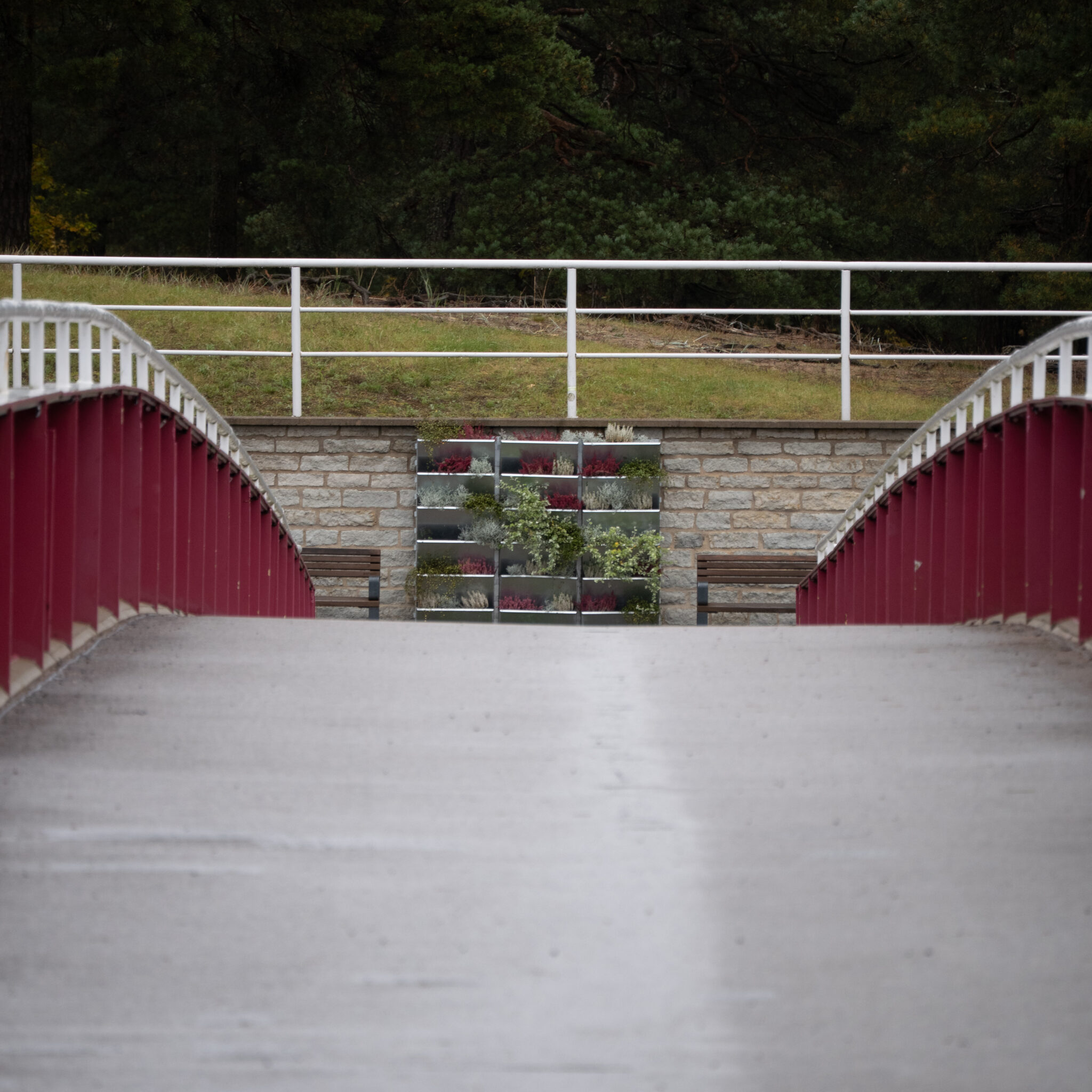 Punane-valge sild viib kiviseinani, mida katab rohelus.