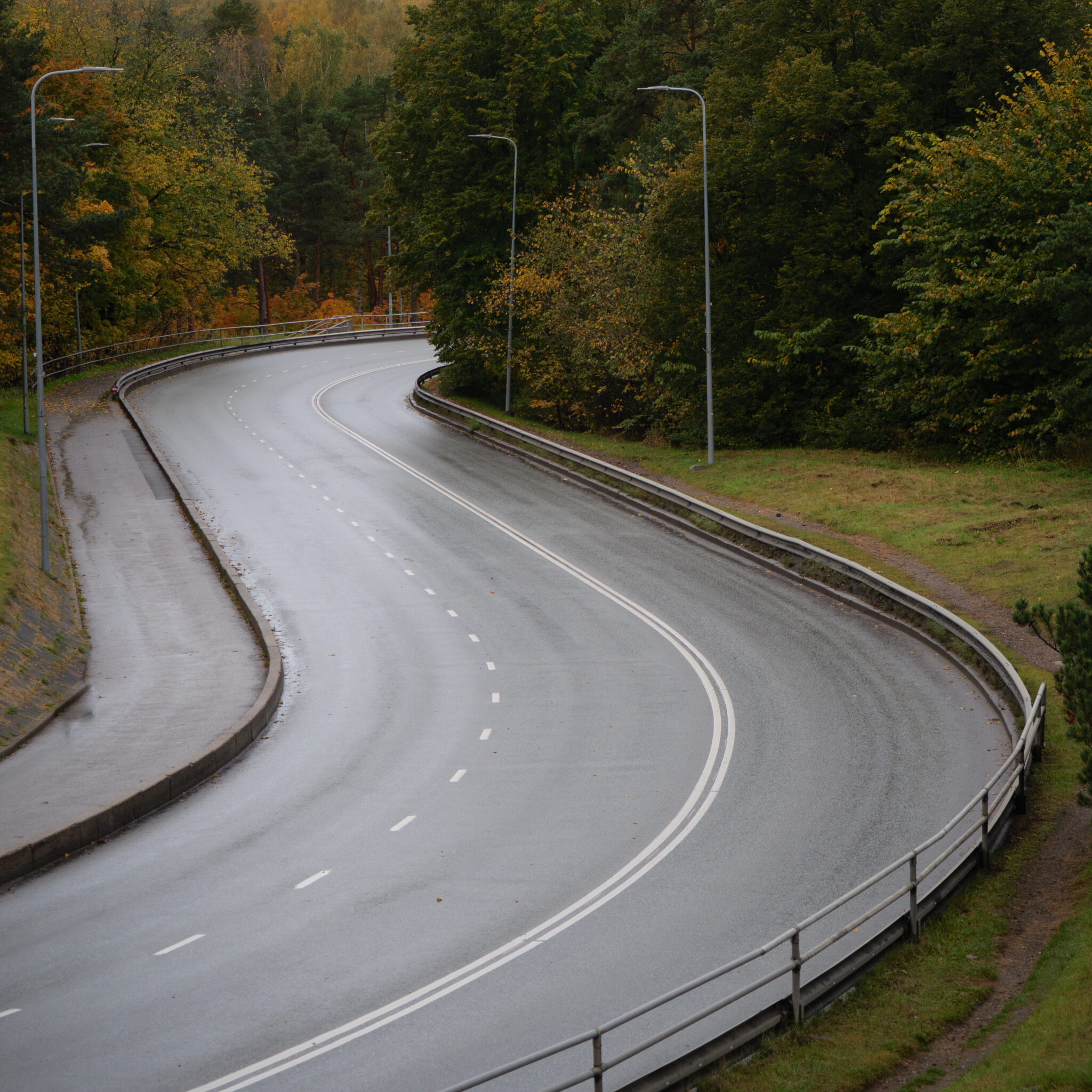 Käänuline metsatee valgete joonte ja metallpiiretega.