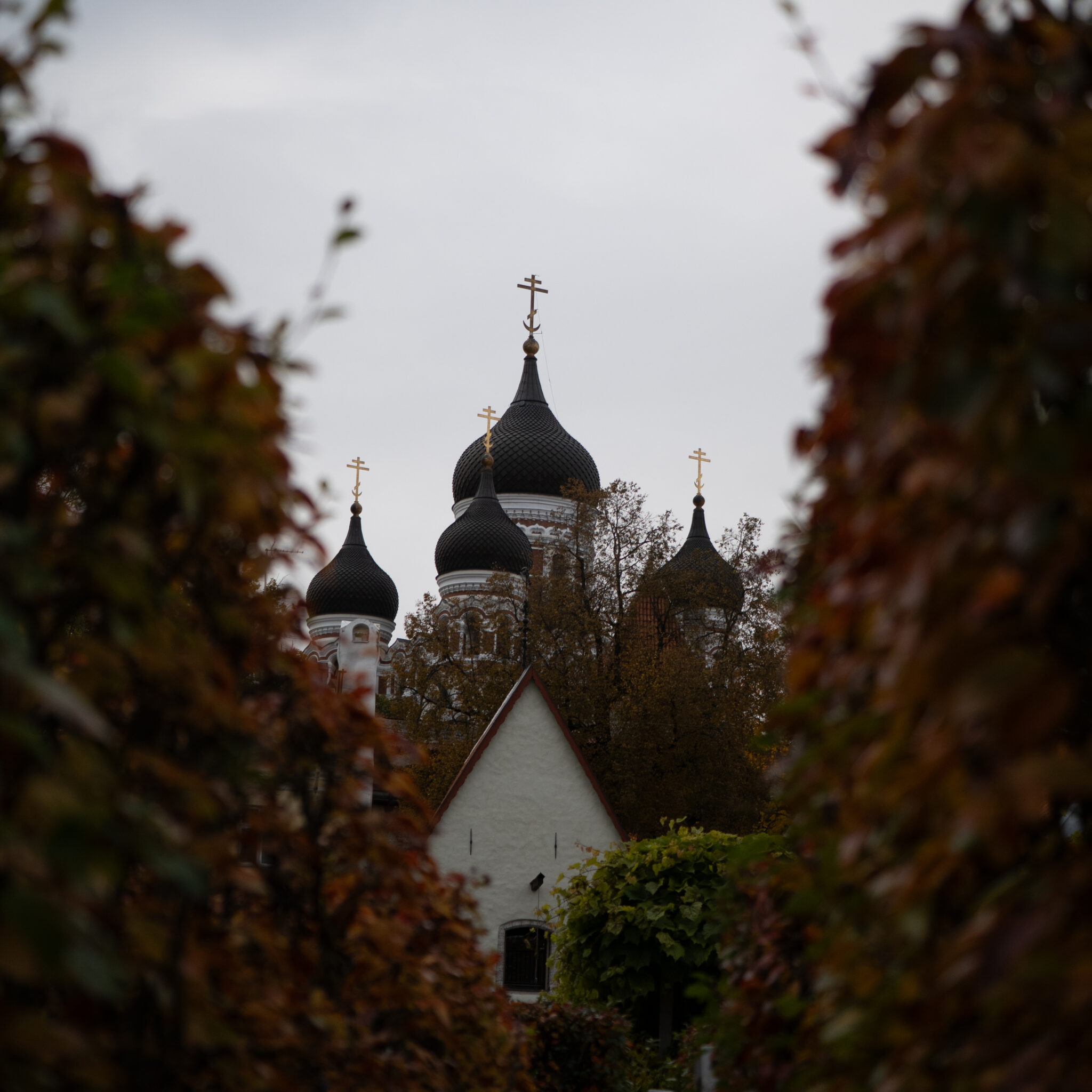 Kuplite ja ristidega kirik sügislehtede vahel.
