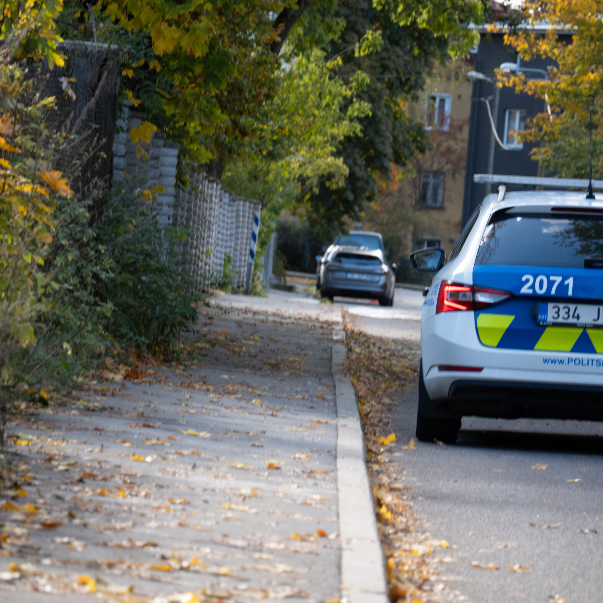 Politseiauto sügislehtedega tänaval.