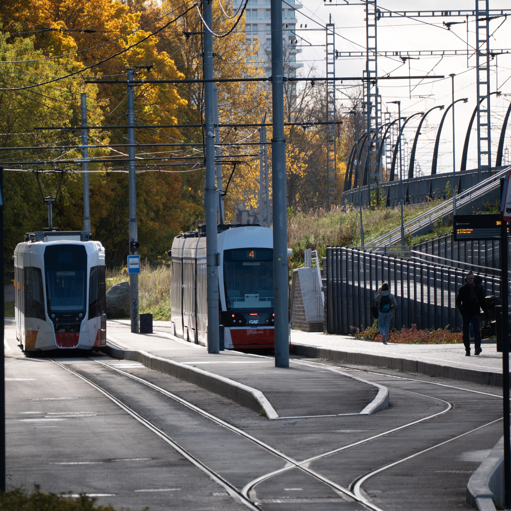 Kaks trammi rööbastel, üks sinine ja teine valge, taustal sügispuud.