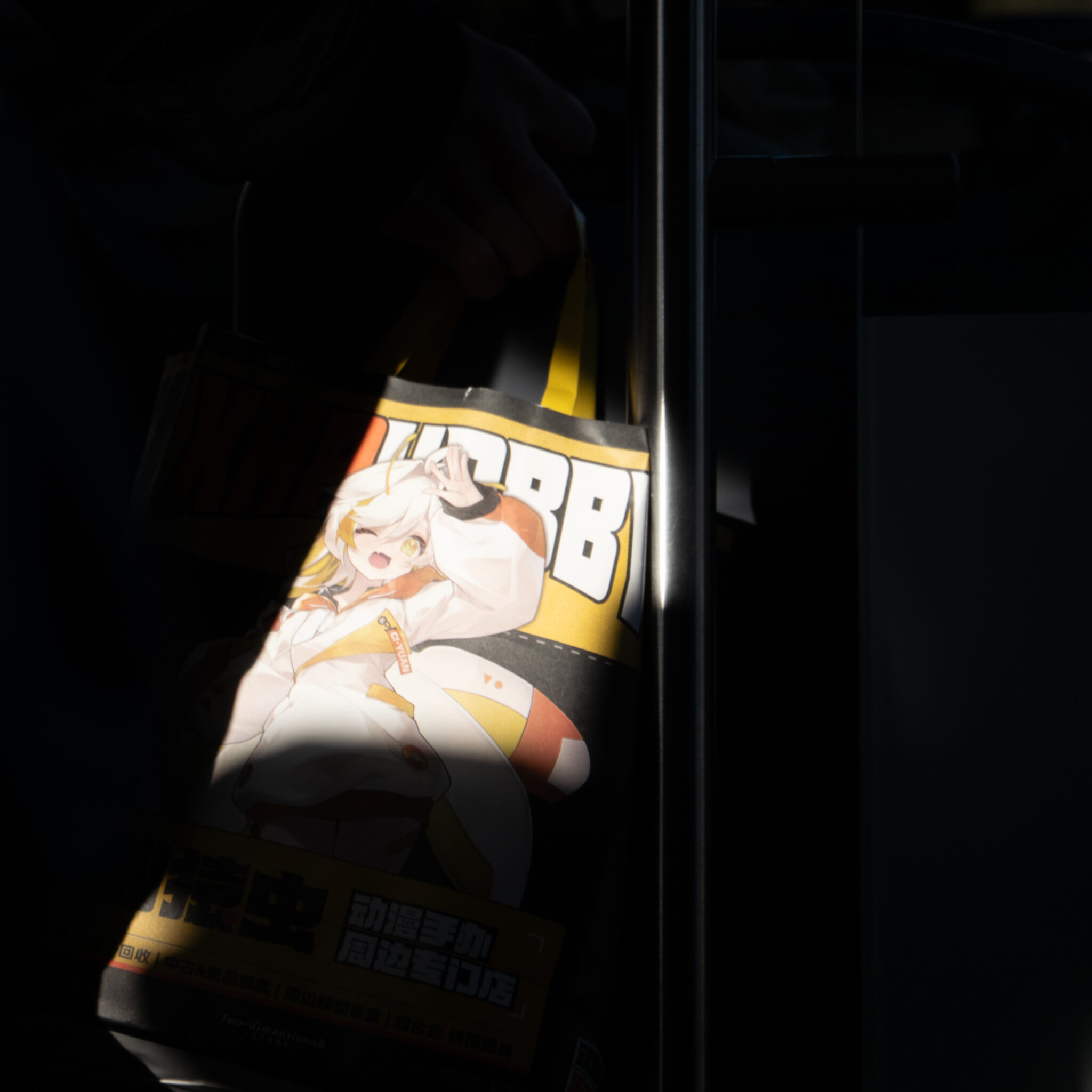 Kott animegelase kujutisega.