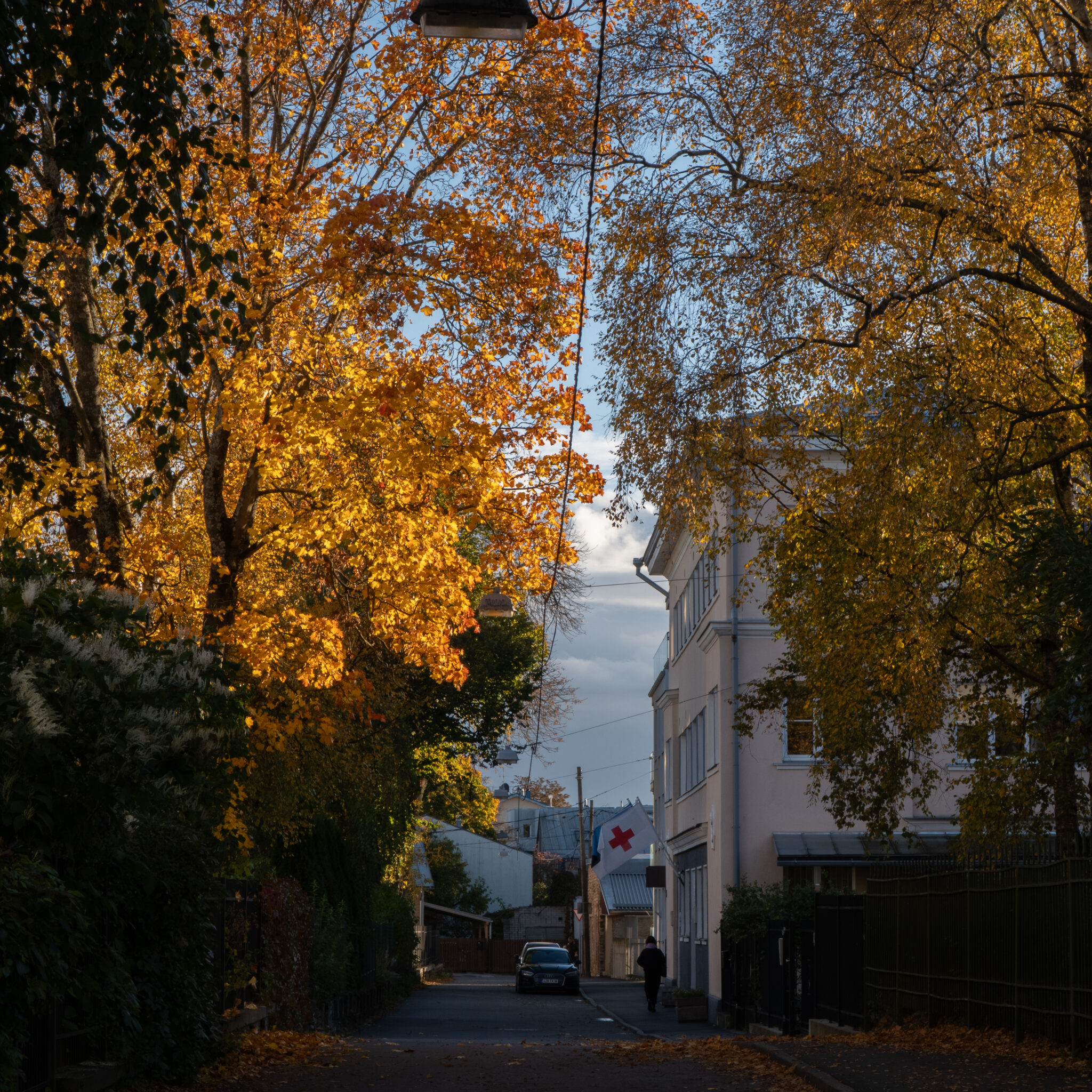 Sügisene tänav punase ristilipuga ja erksates sügisvärvides puudega.