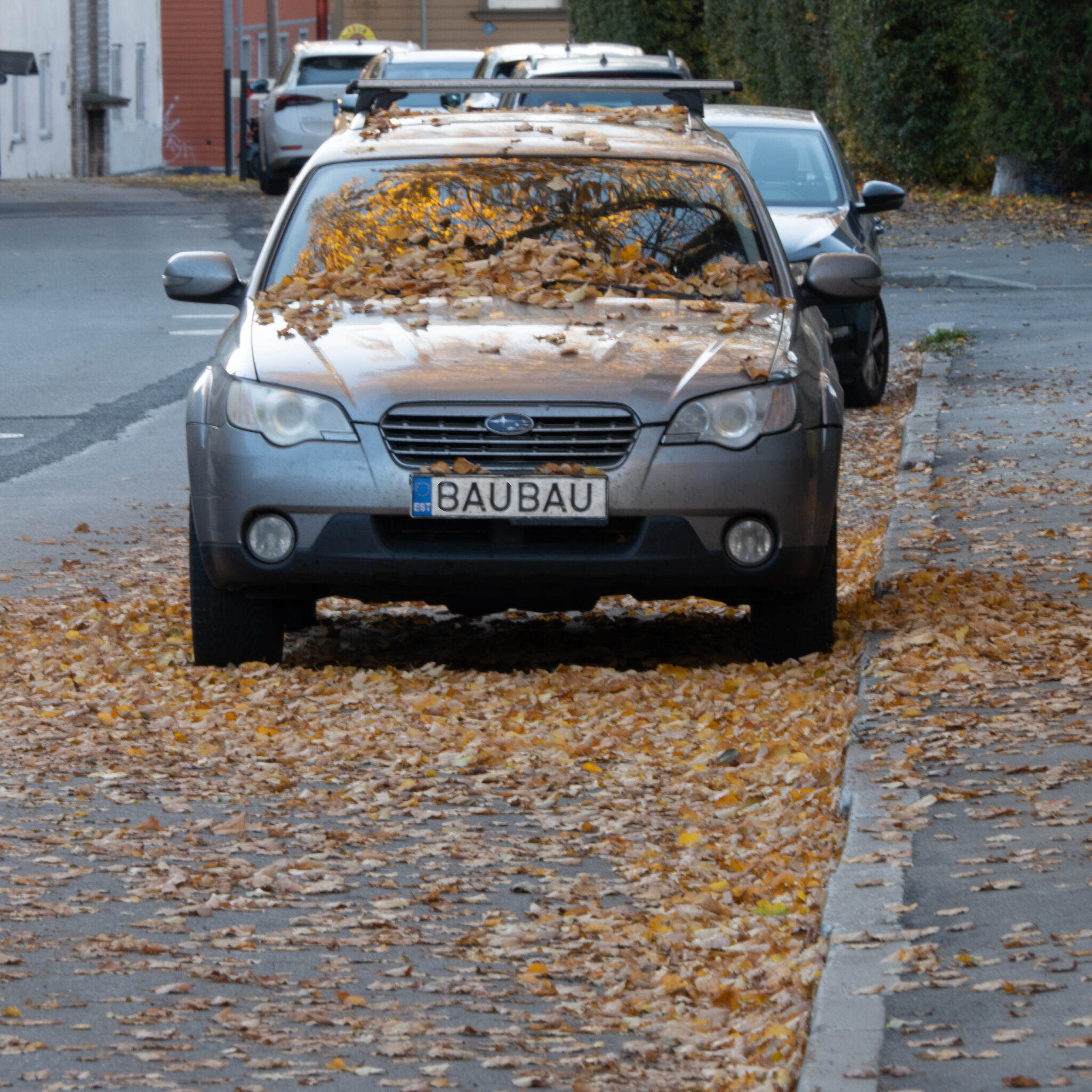 Sügislehtedega kaetud Subaru auto.