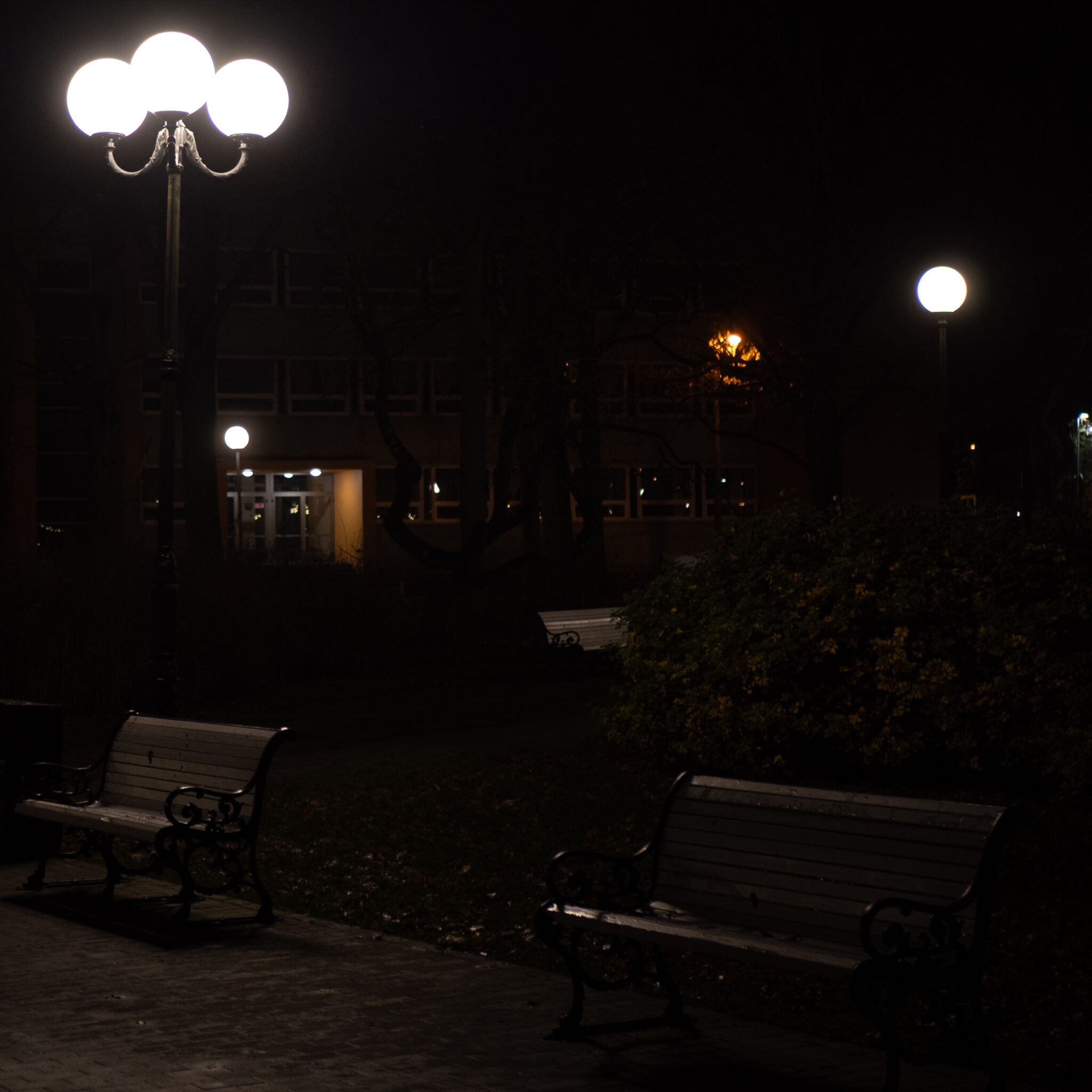 Kaks pinki ja tänavalambid öises pimedas pargis.