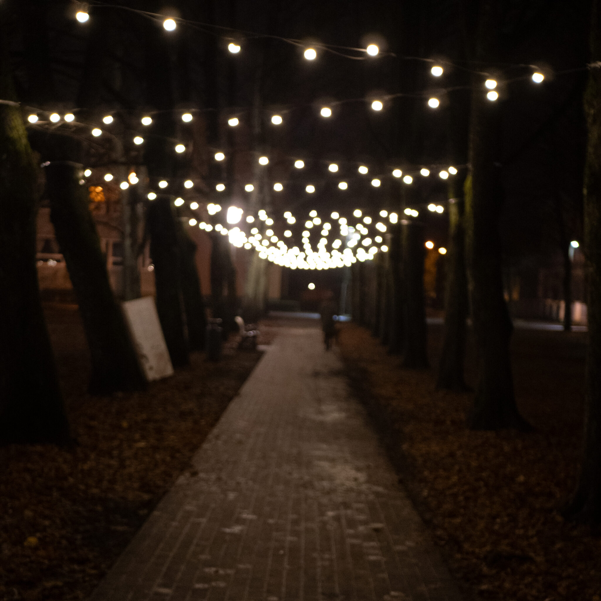 Hämar puuderiviga tee valgusketiga.