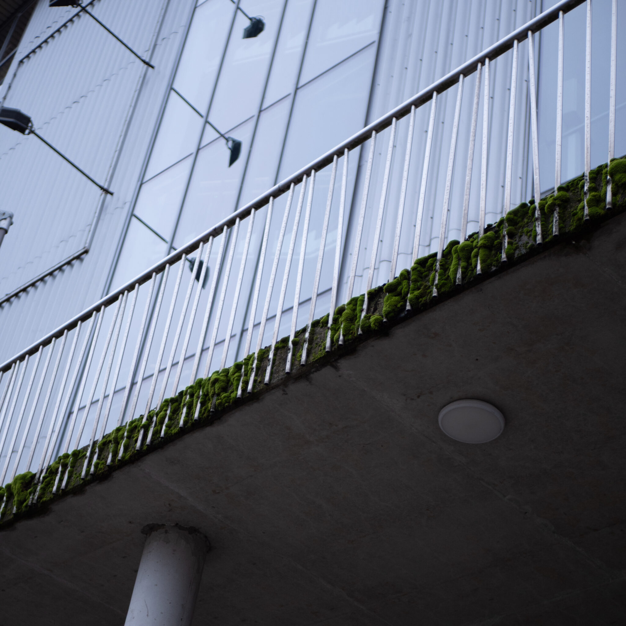 Sammaldunud piire ja hoone klaasfassaad.