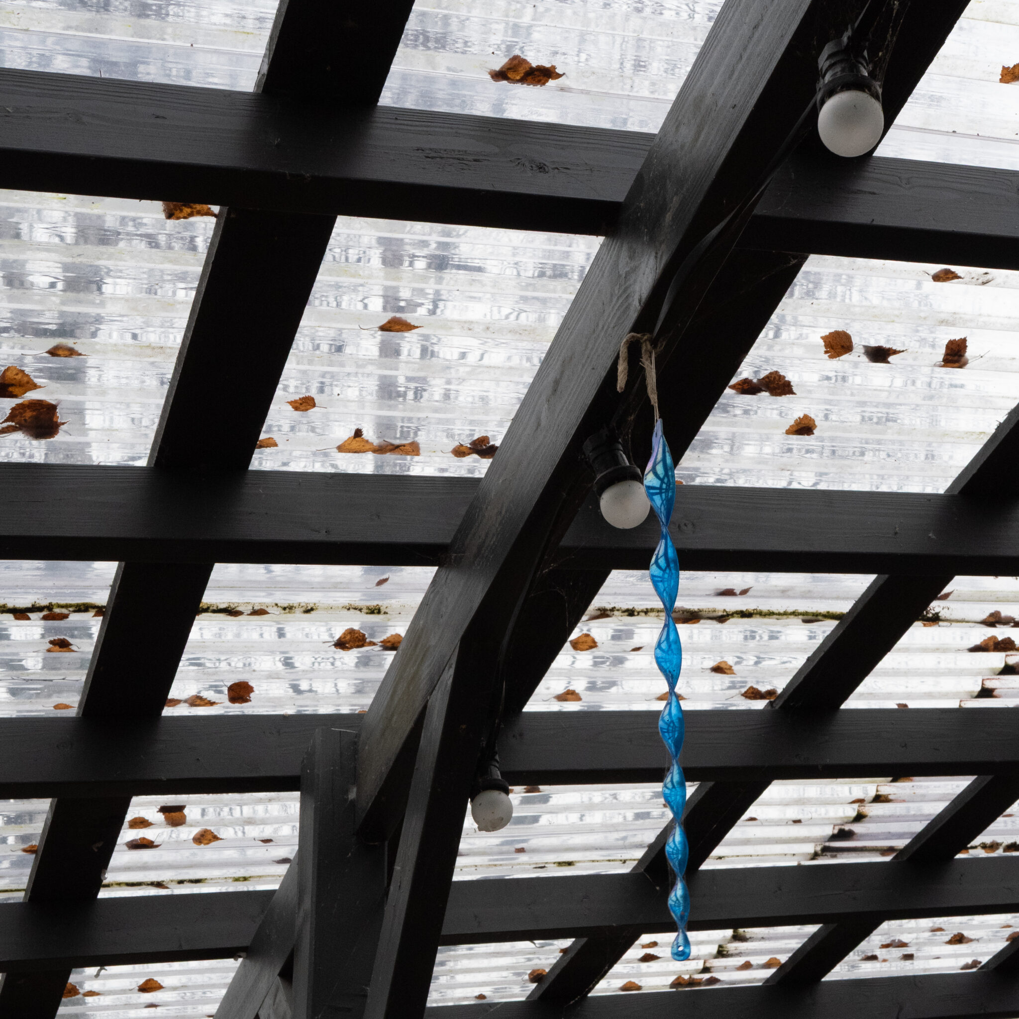 Puidust pergola all ripub sinine spiraalne valgusinstallatsioon, katusel lehed.